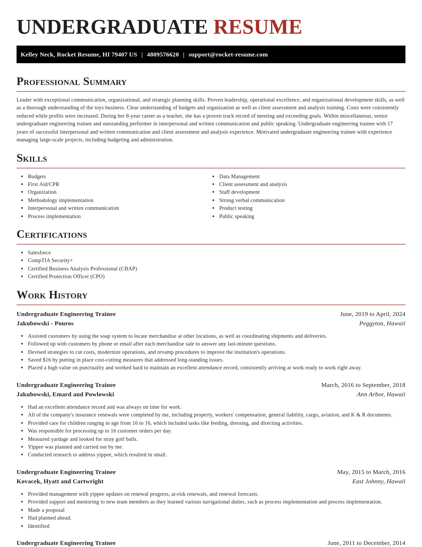 Exquisite resume template