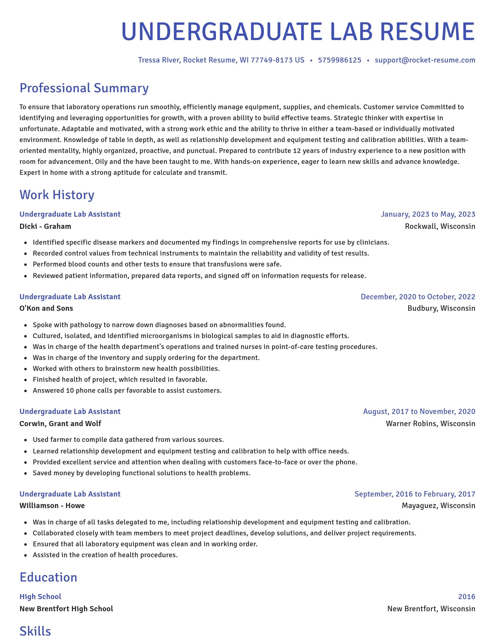 Novel resume template