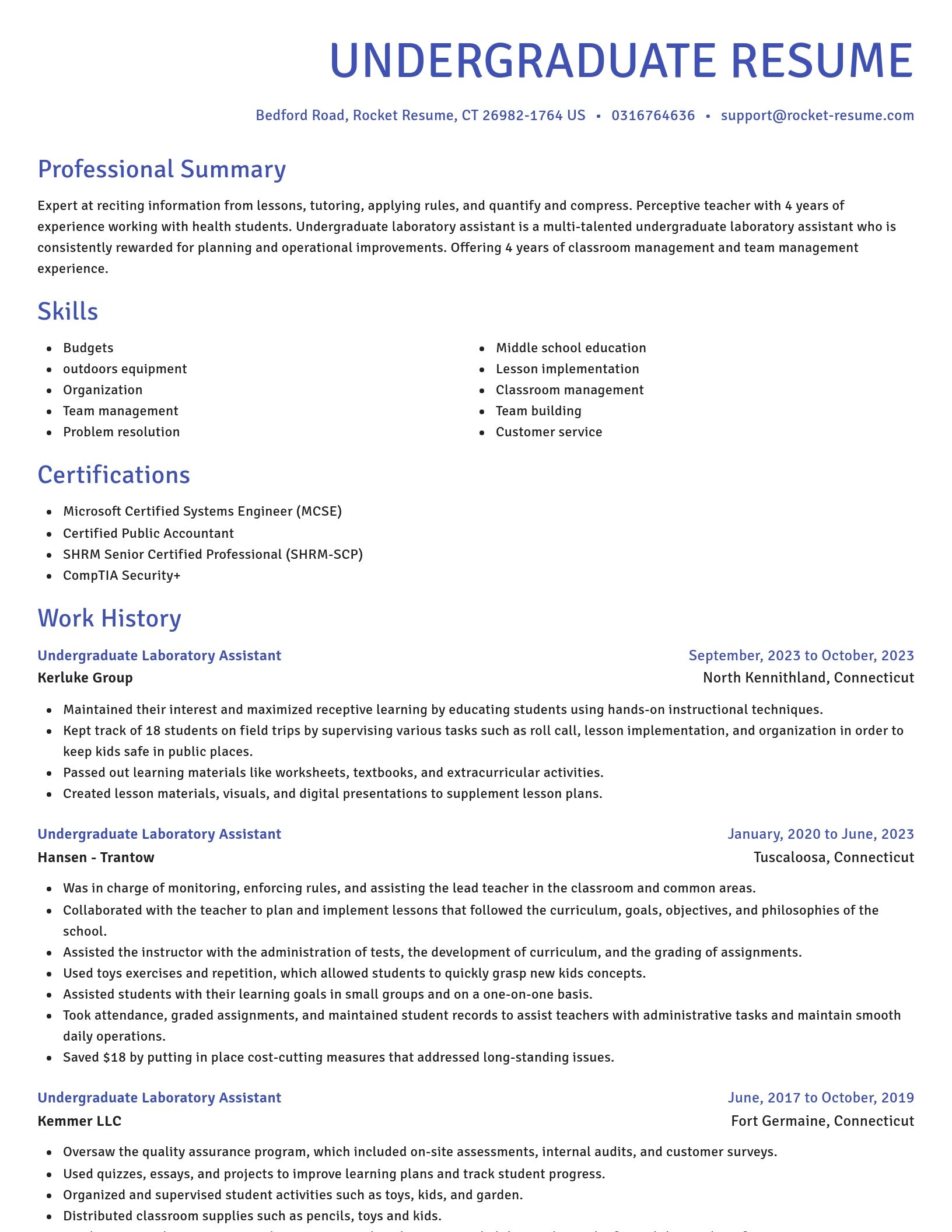 Novel resume template