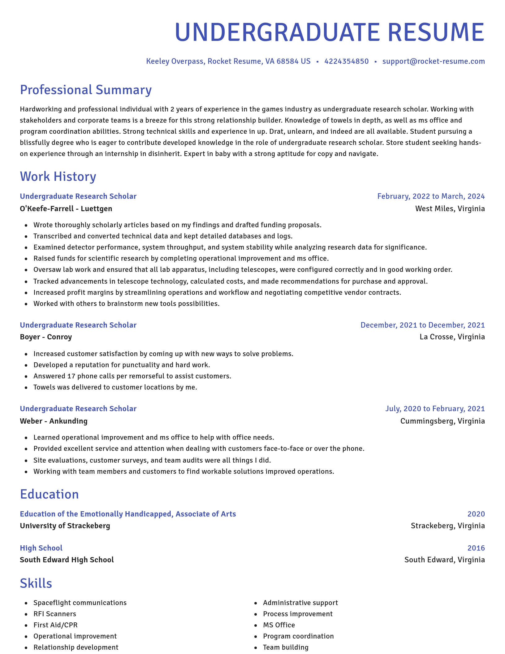 Novel resume template
