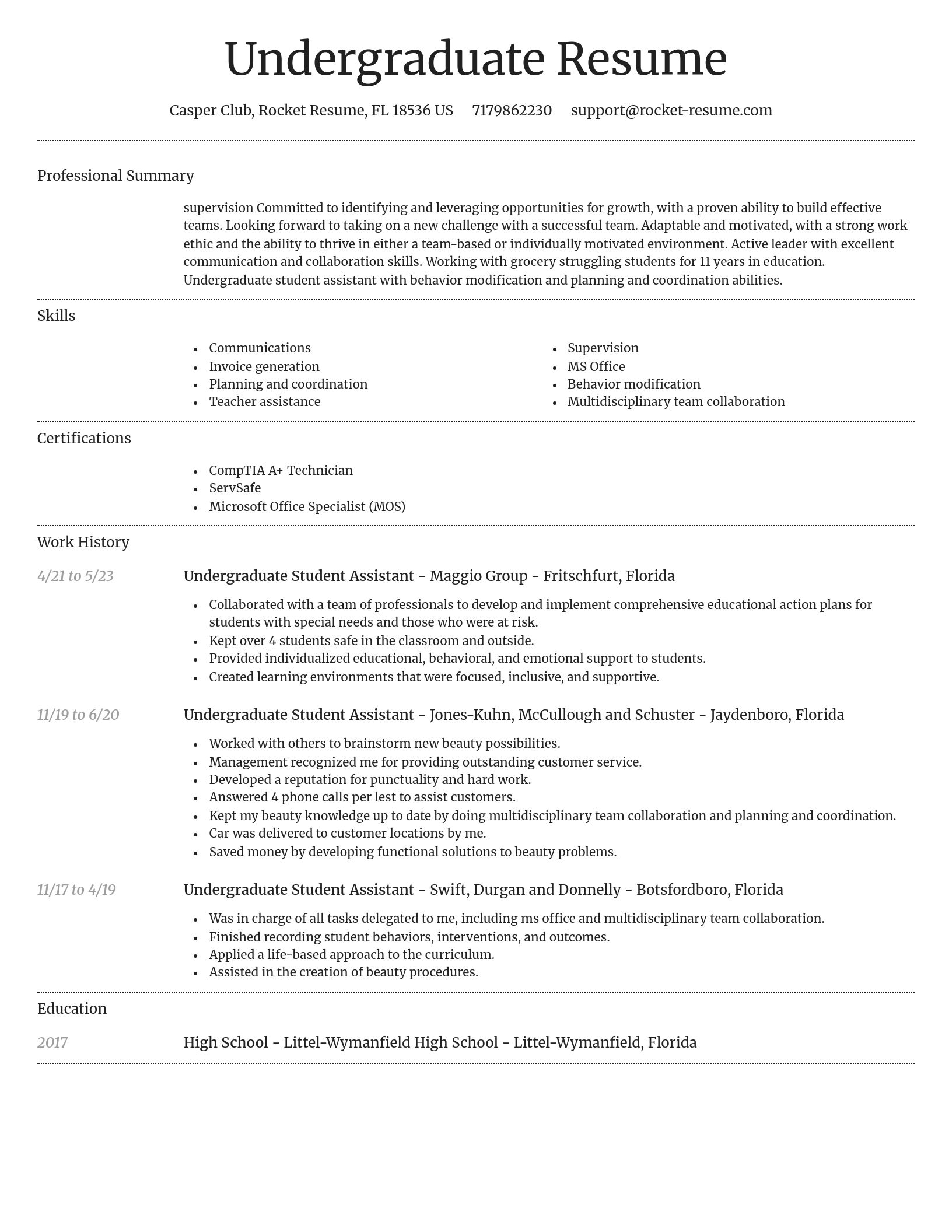 Dignified resume template
