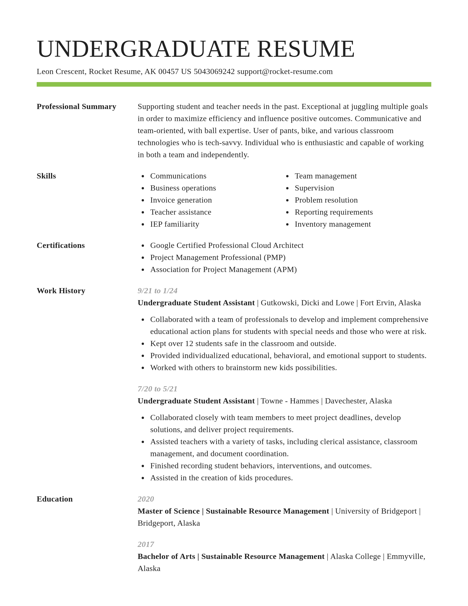 Smart resume template