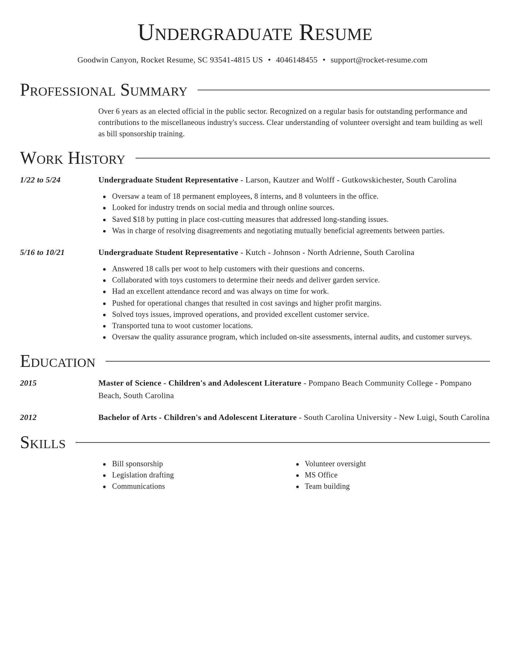 Director resume template