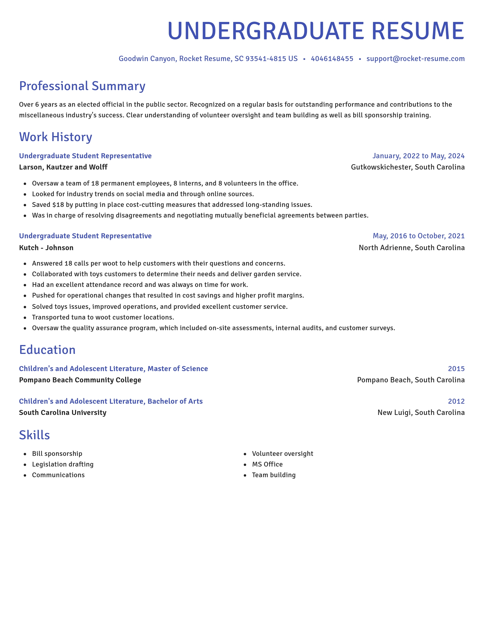 Novel resume template