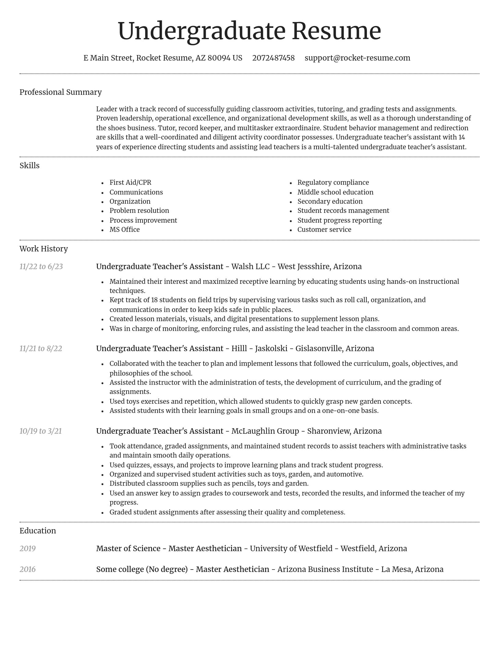 Dignified resume template