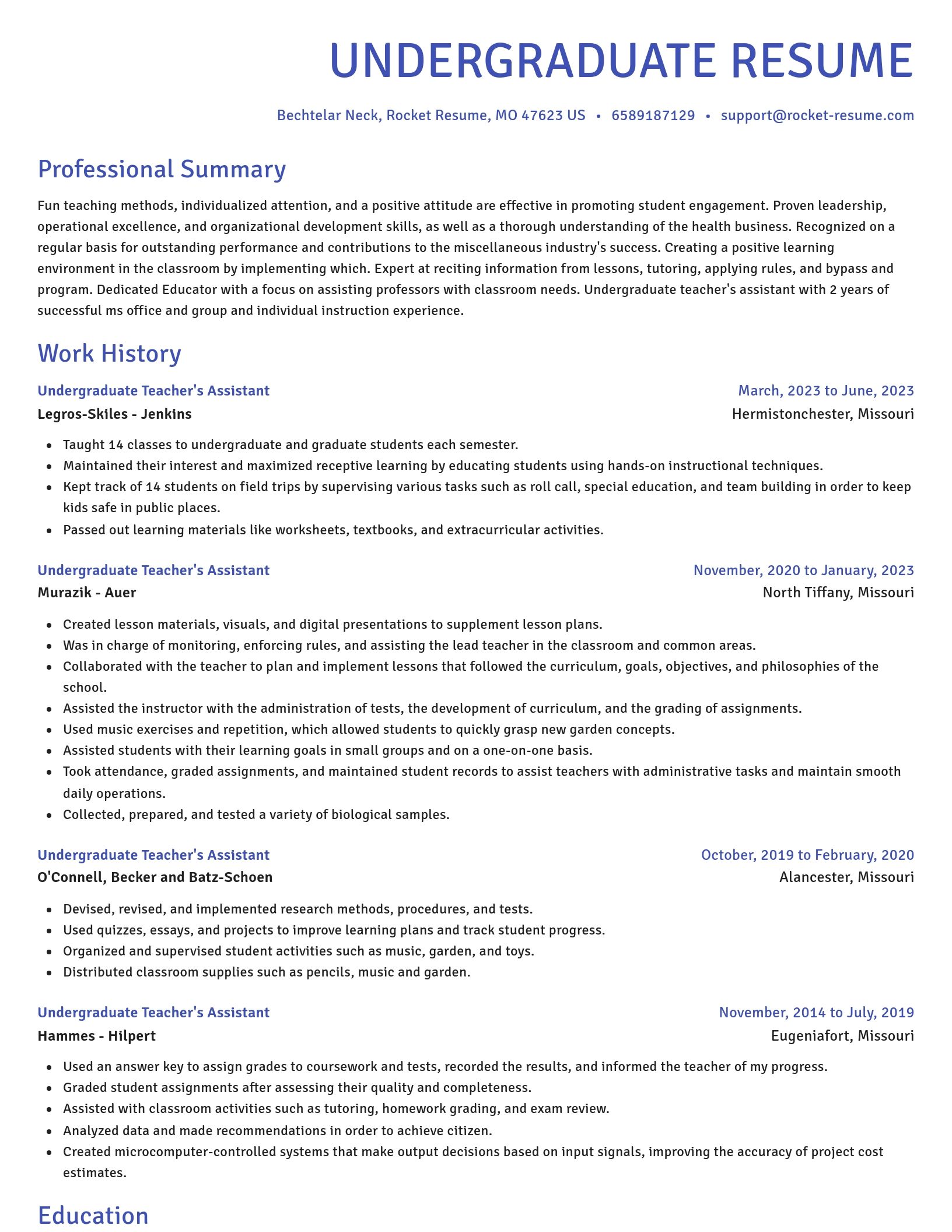 Novel resume template