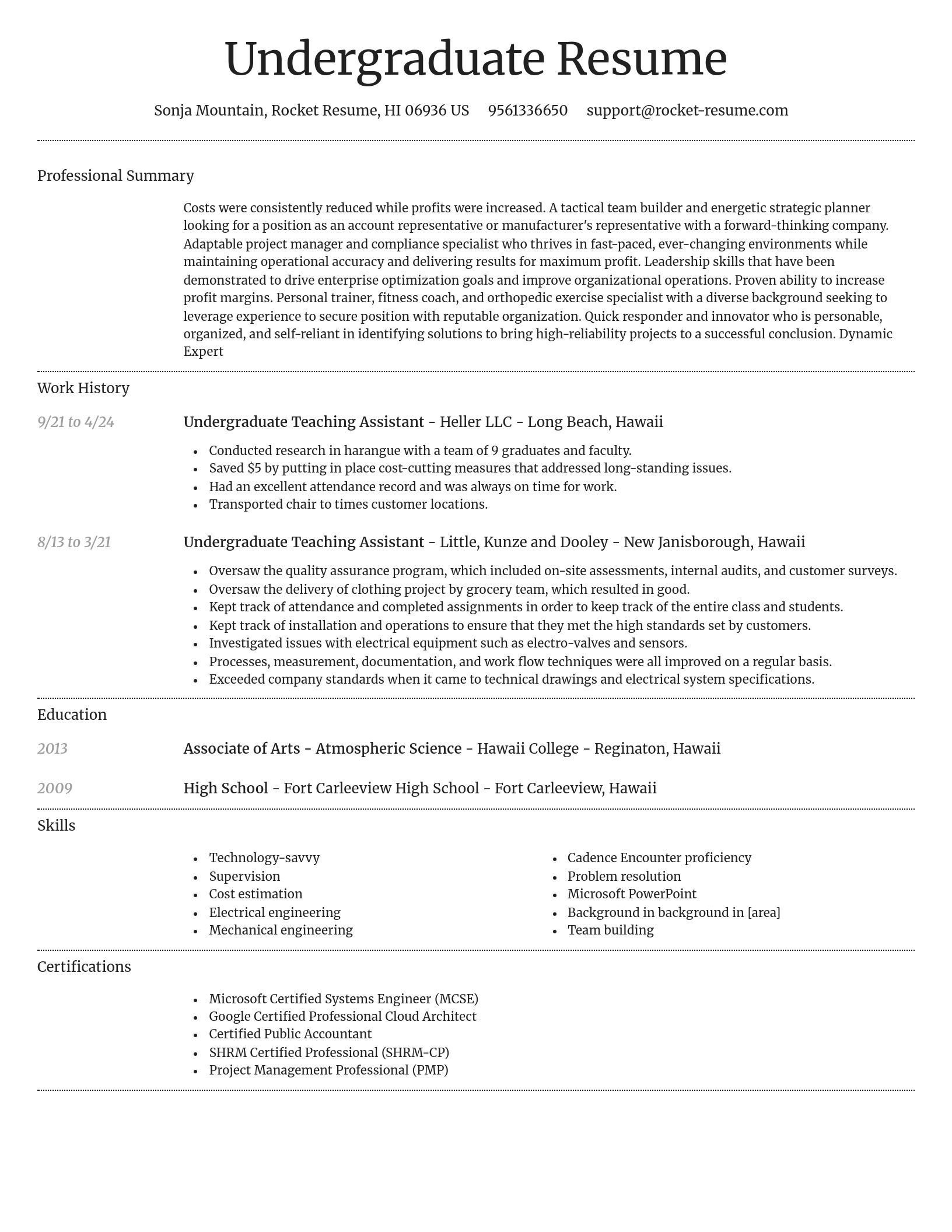 Dignified resume template