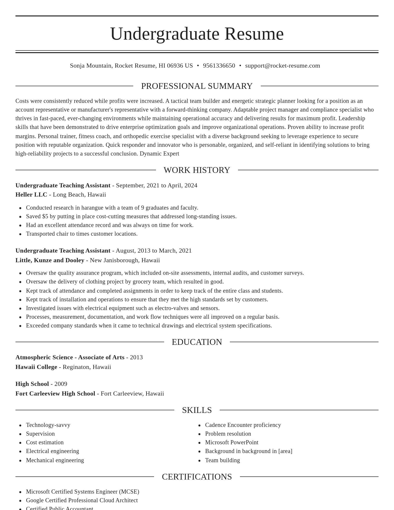 Elegant resume template