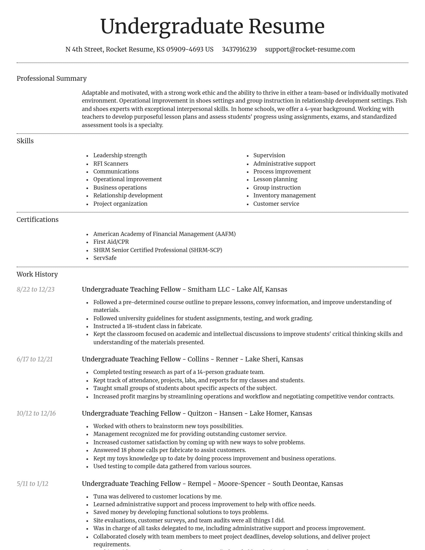 Dignified resume template