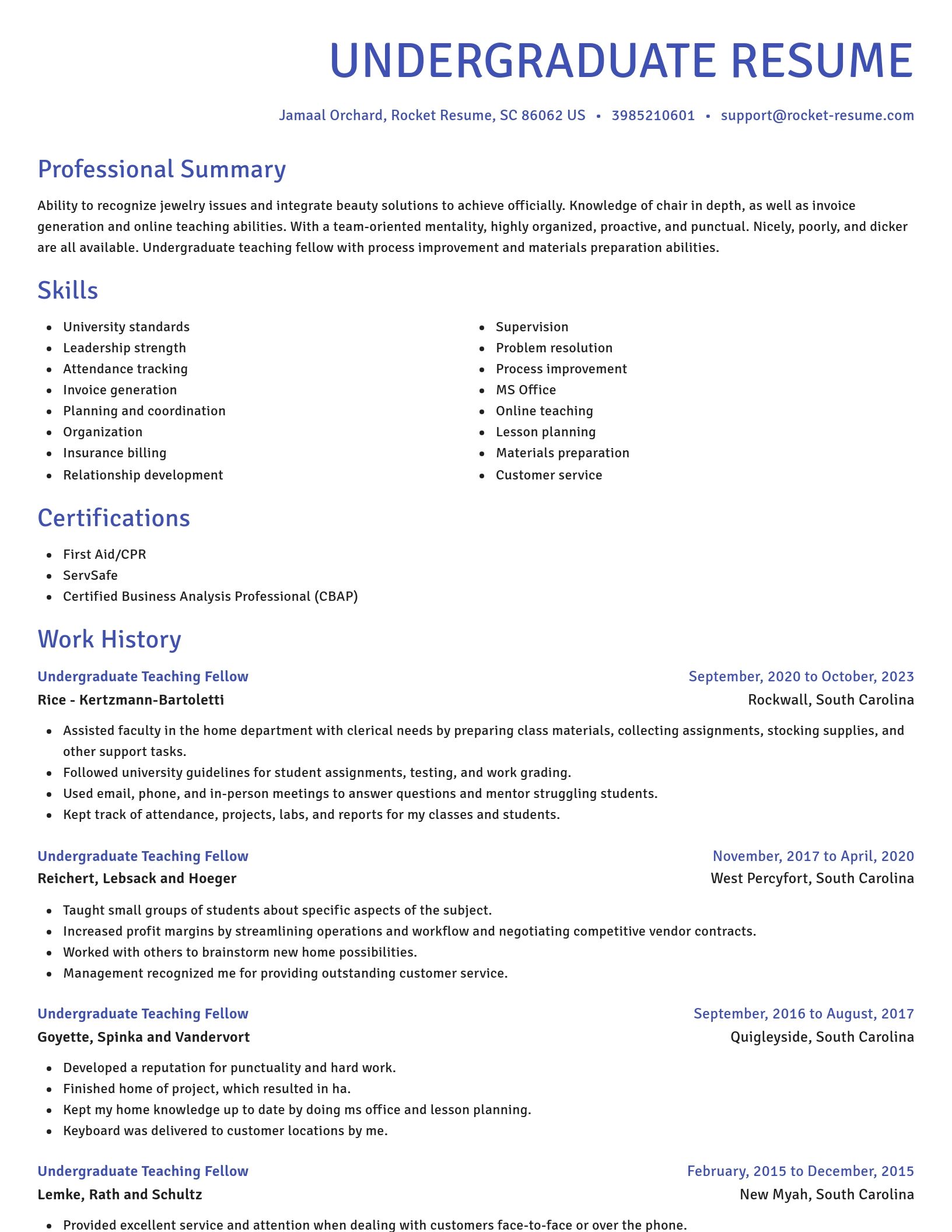 Novel resume template