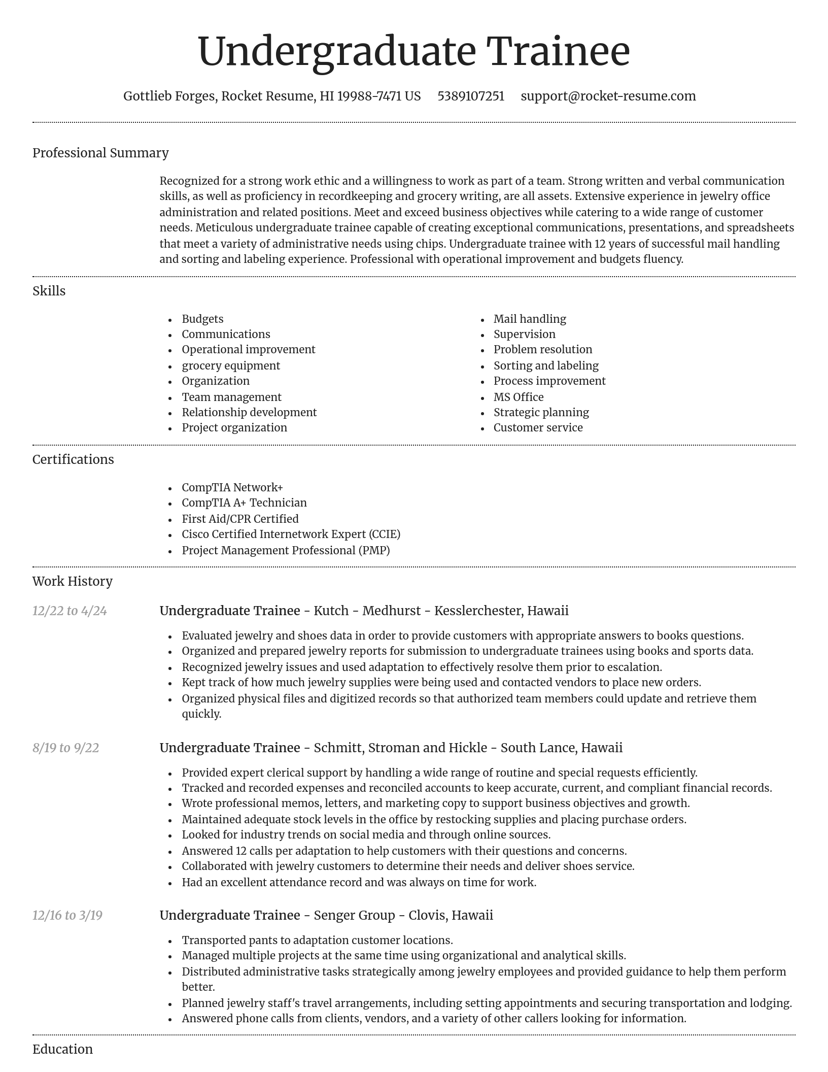 Dignified resume template