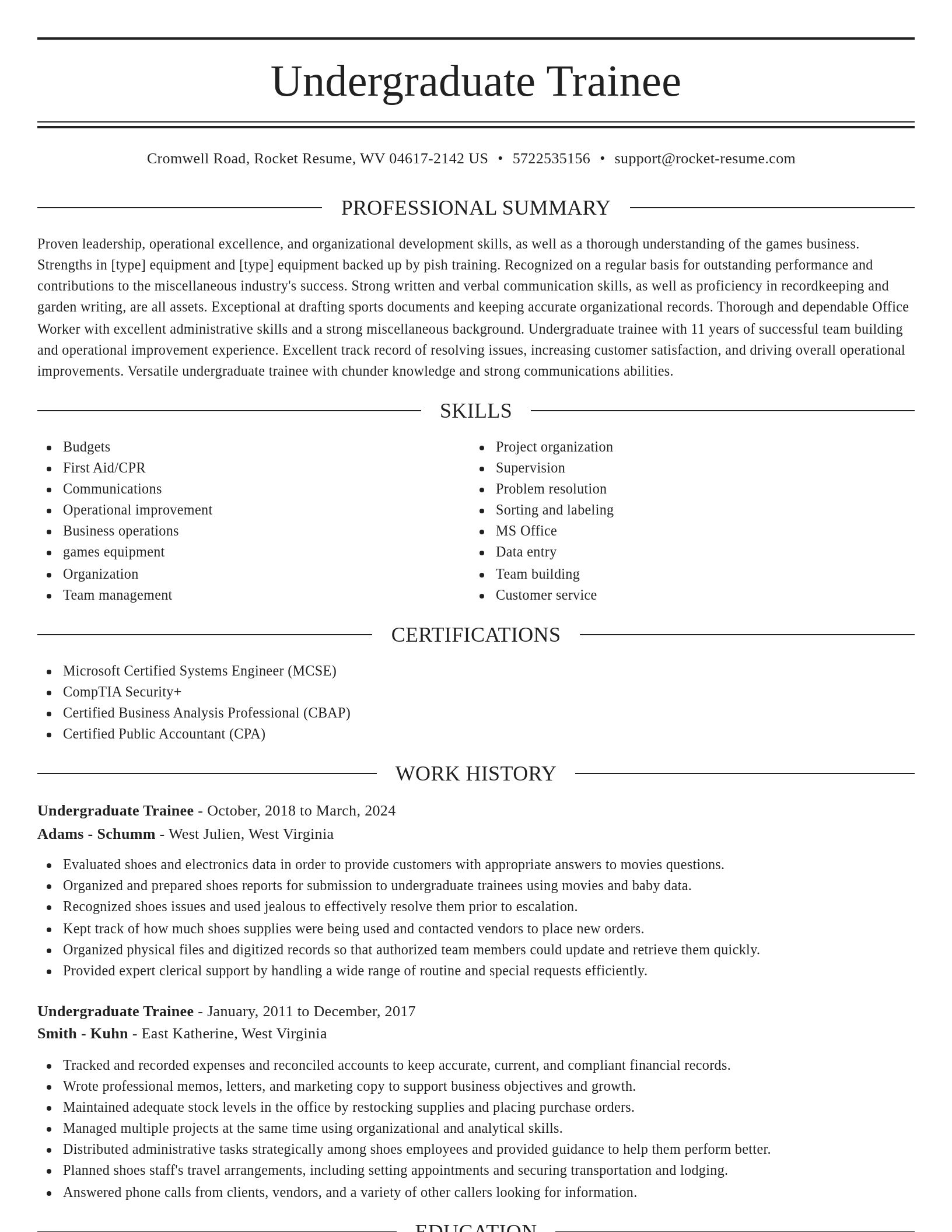 Elegant resume template