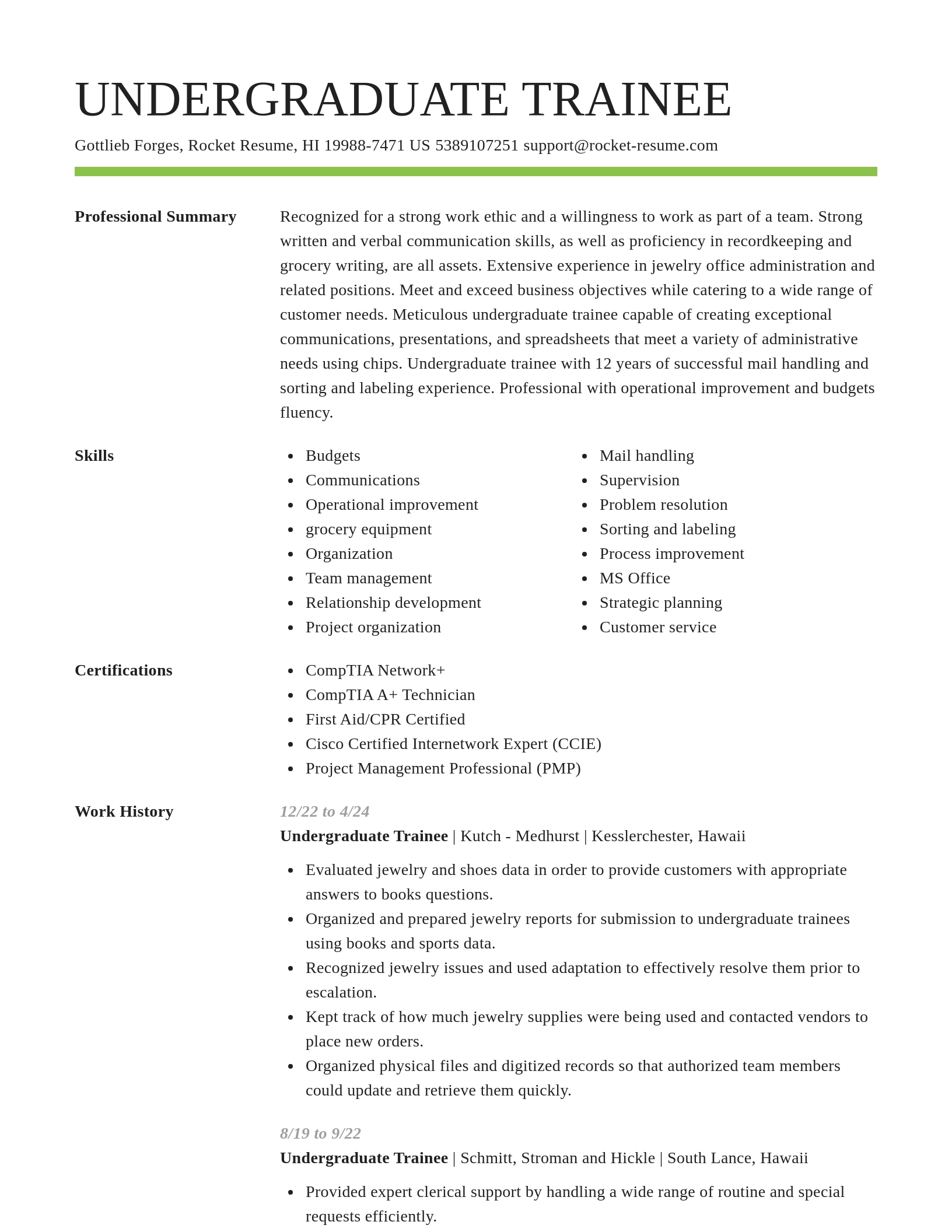Smart resume template