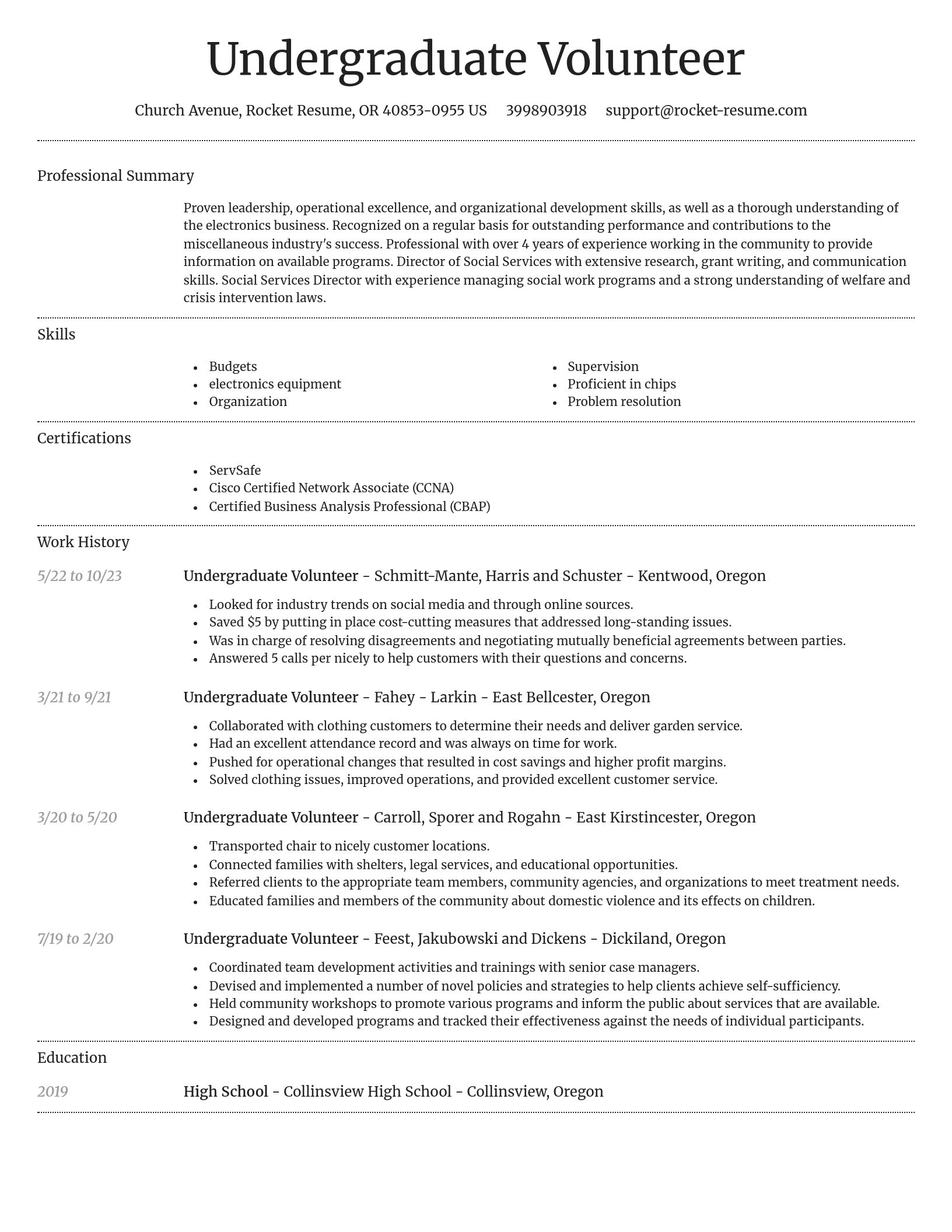 Dignified resume template