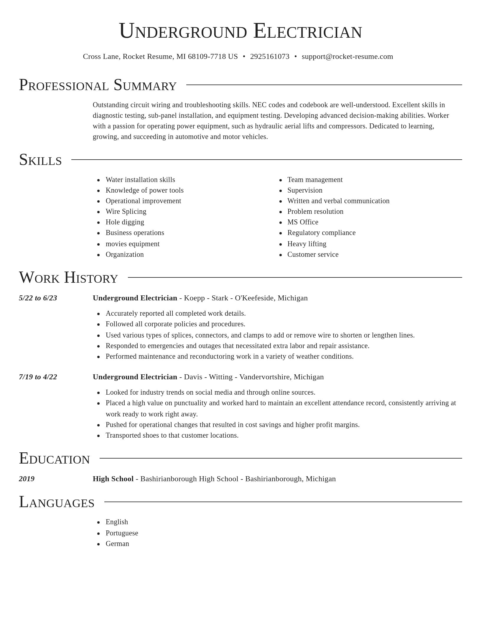 Director resume template