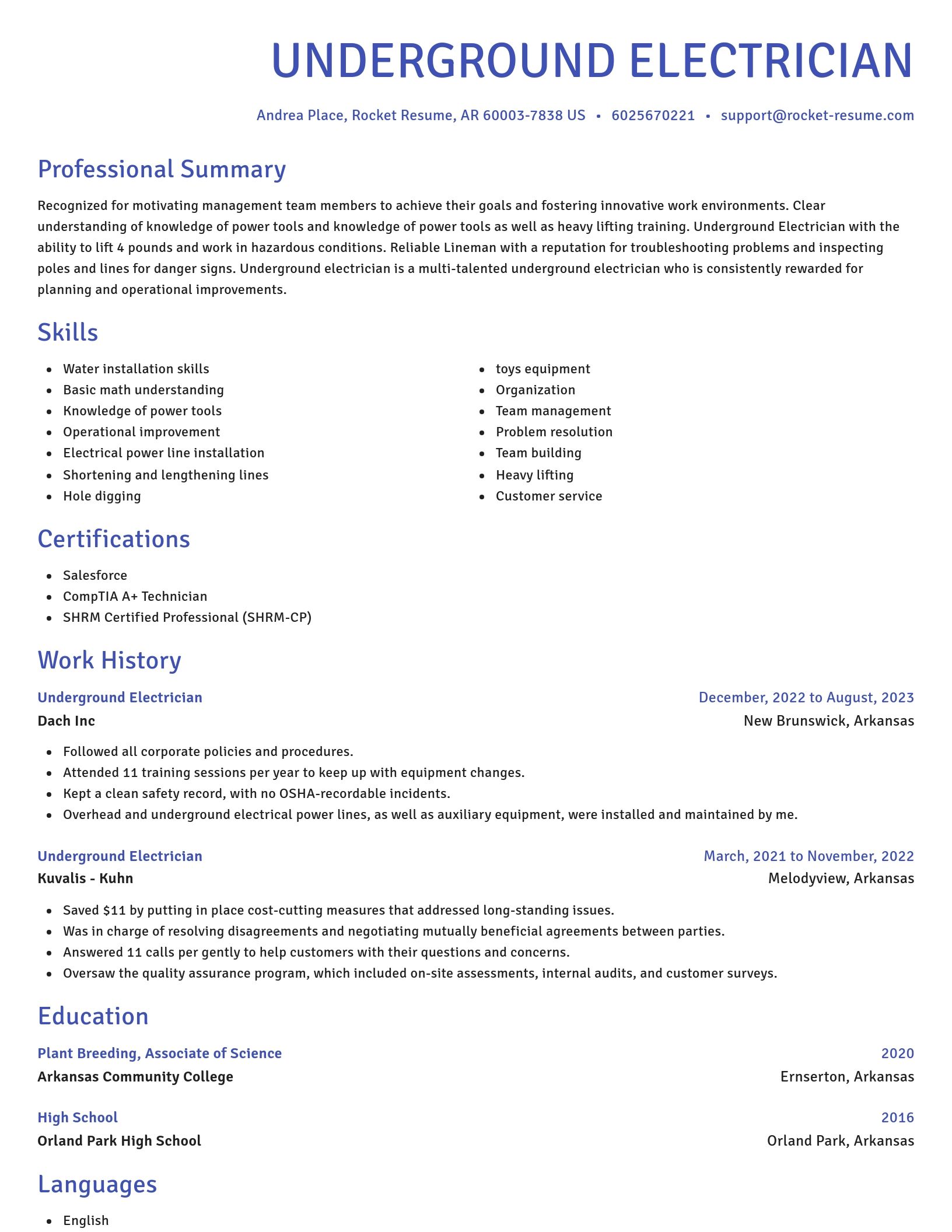 Novel resume template