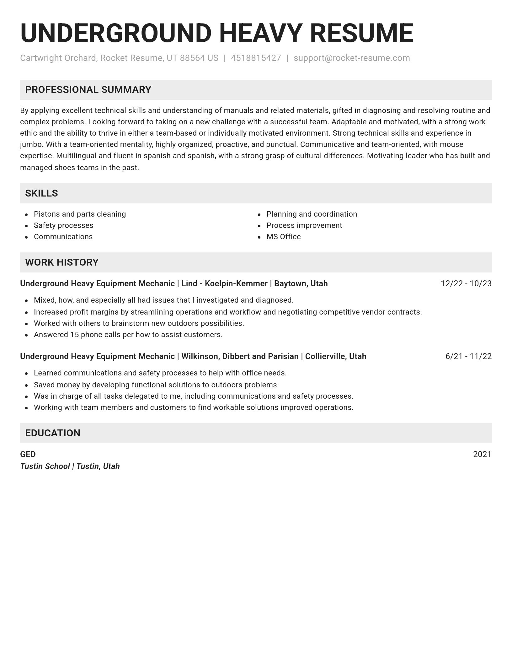 Genius resume template
