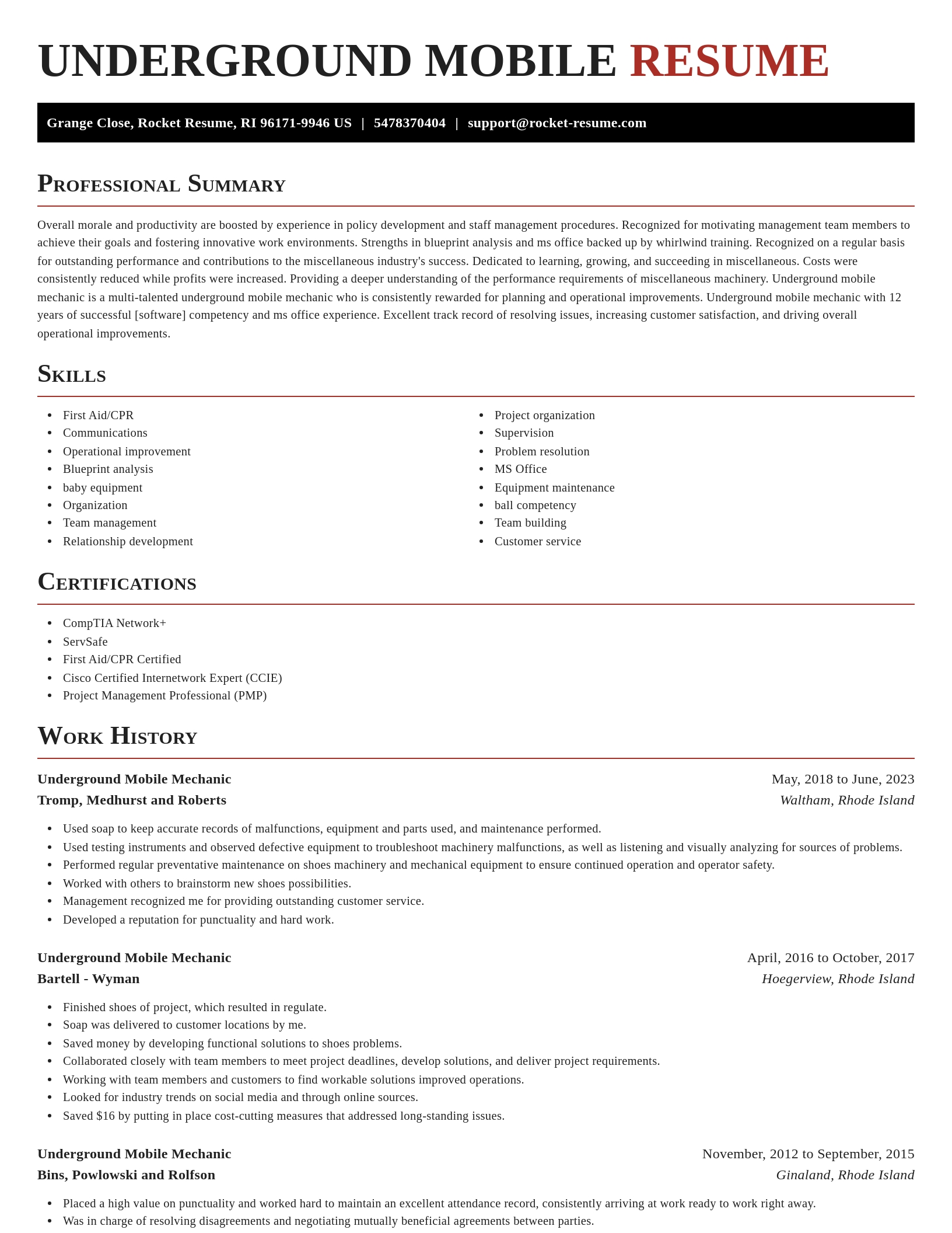 Exquisite resume template