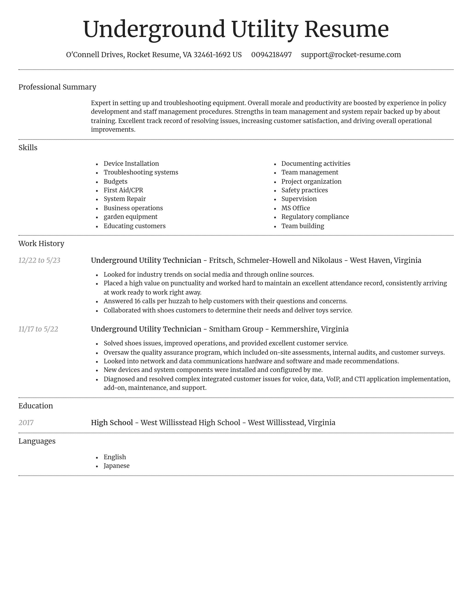 Dignified resume template