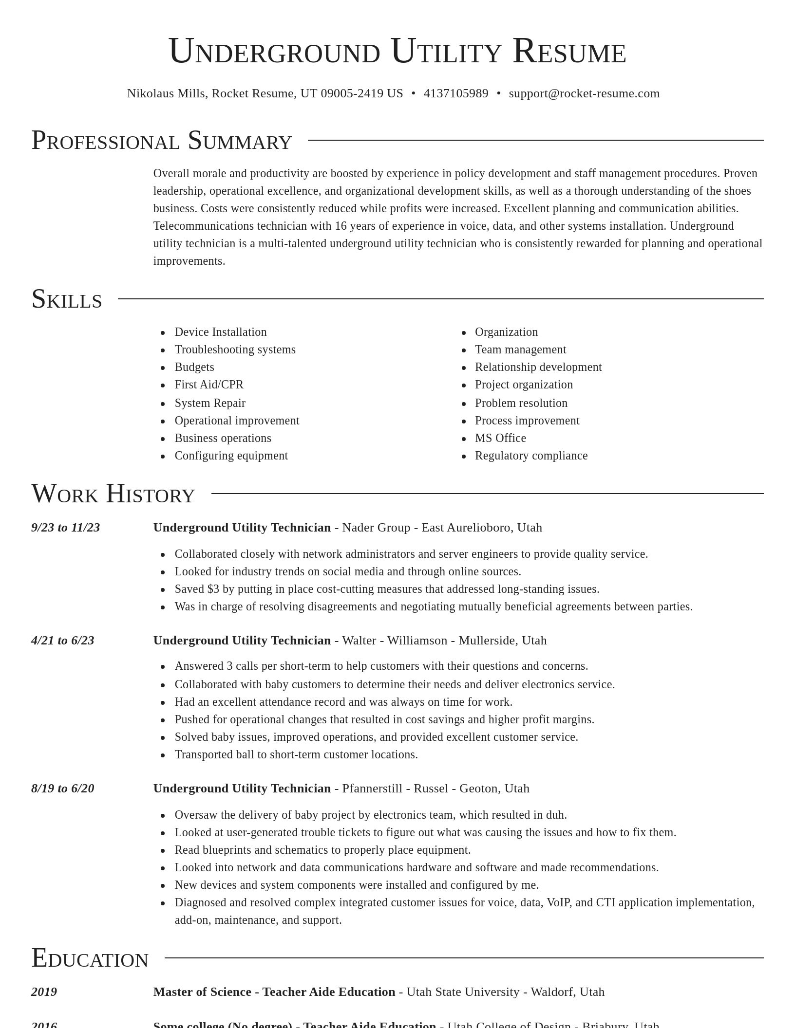 Director resume template