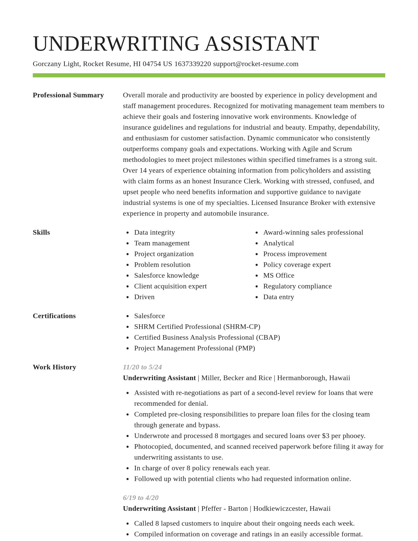 Smart resume template
