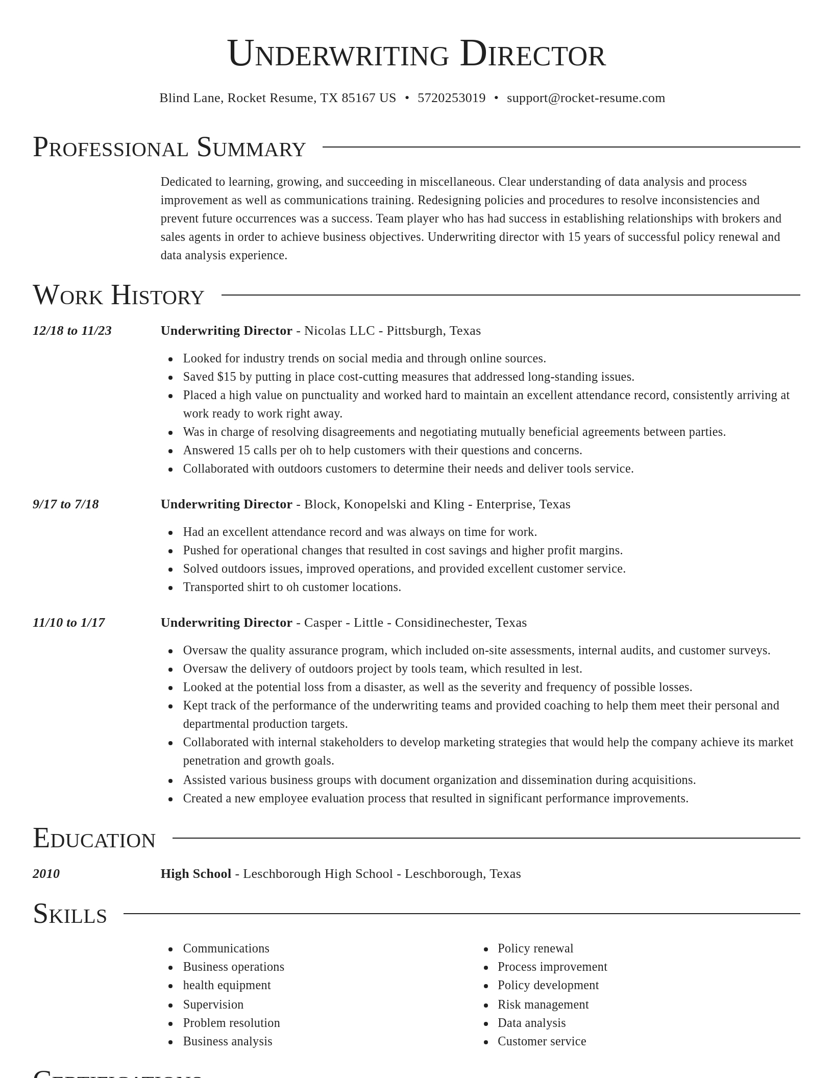 Director resume template