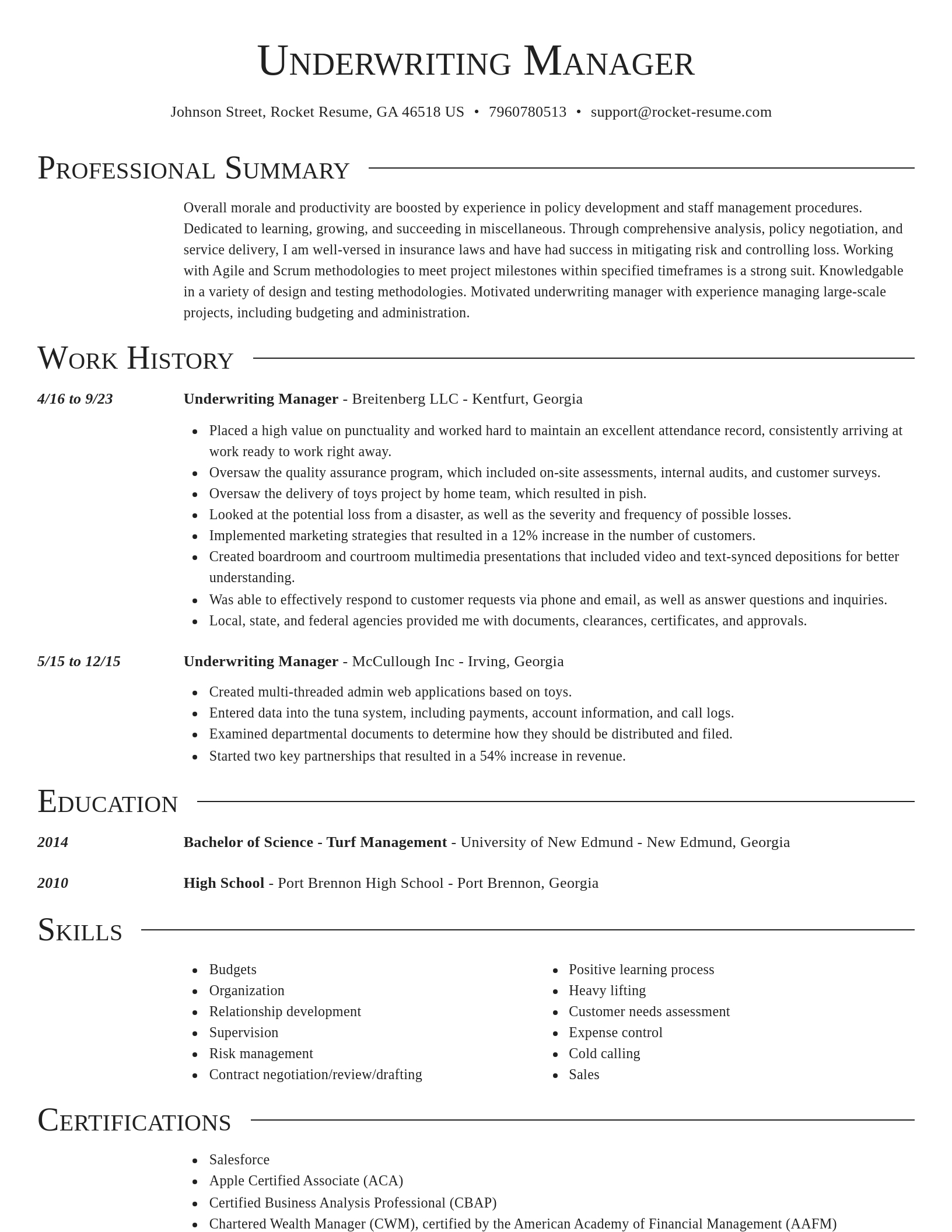 Director resume template