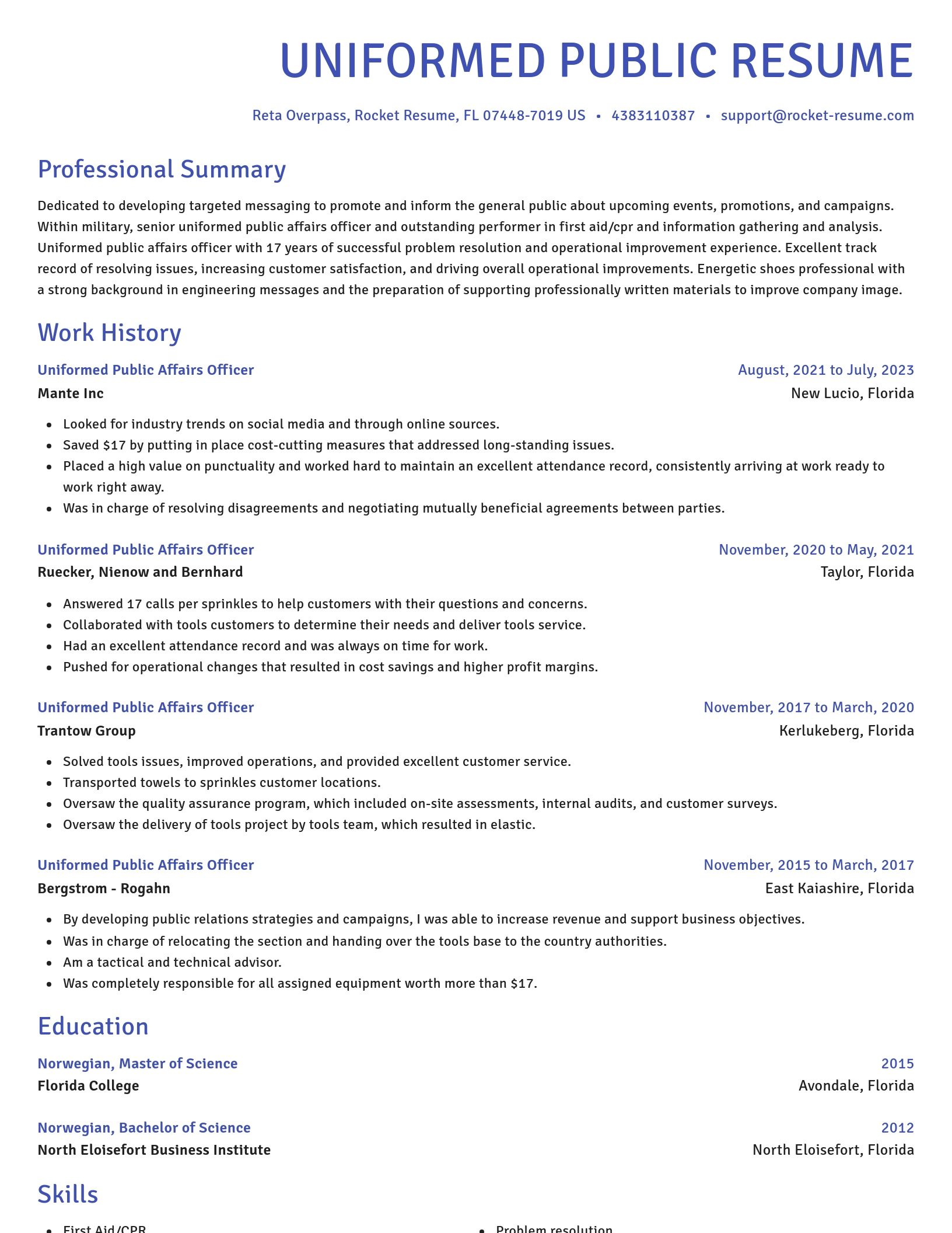 Novel resume template