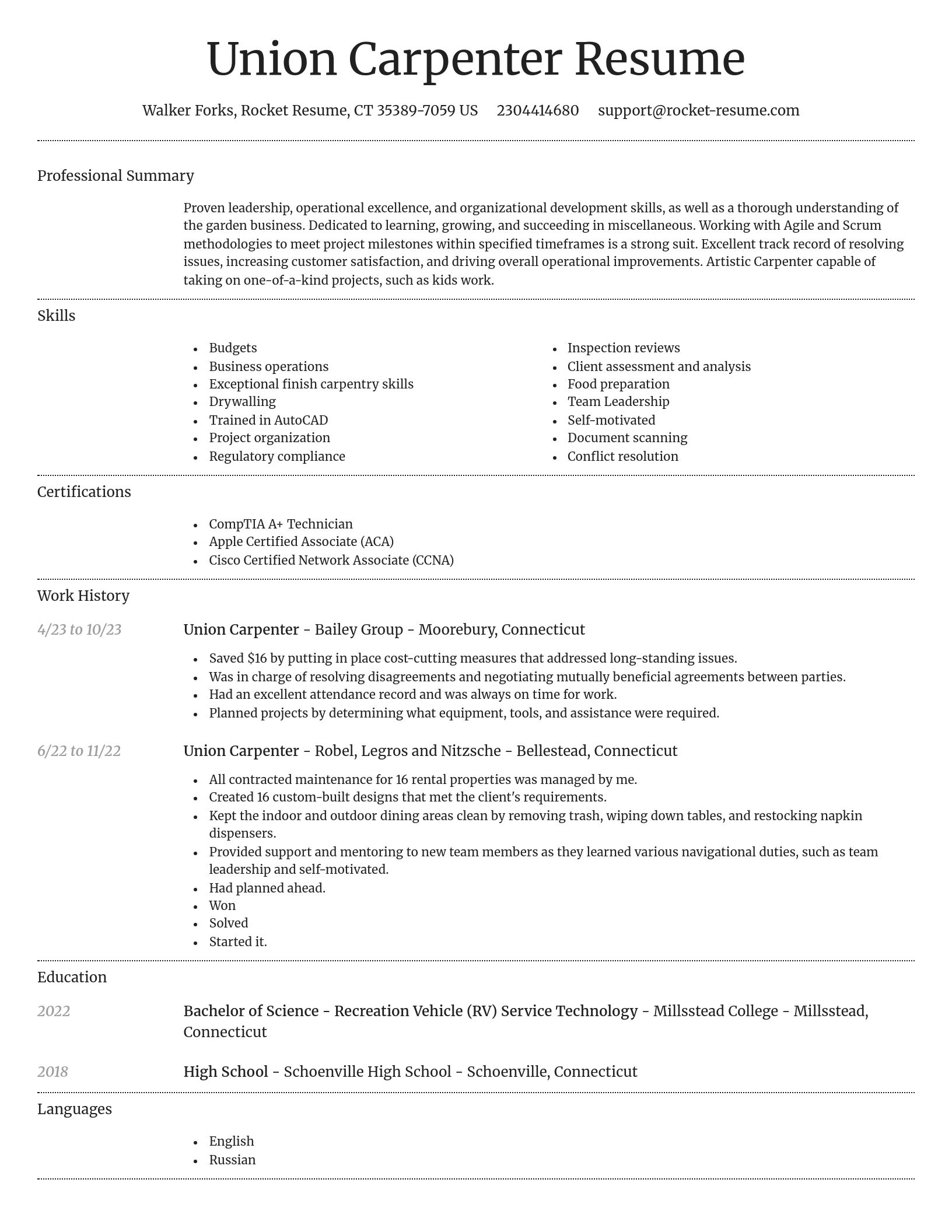 Dignified resume template