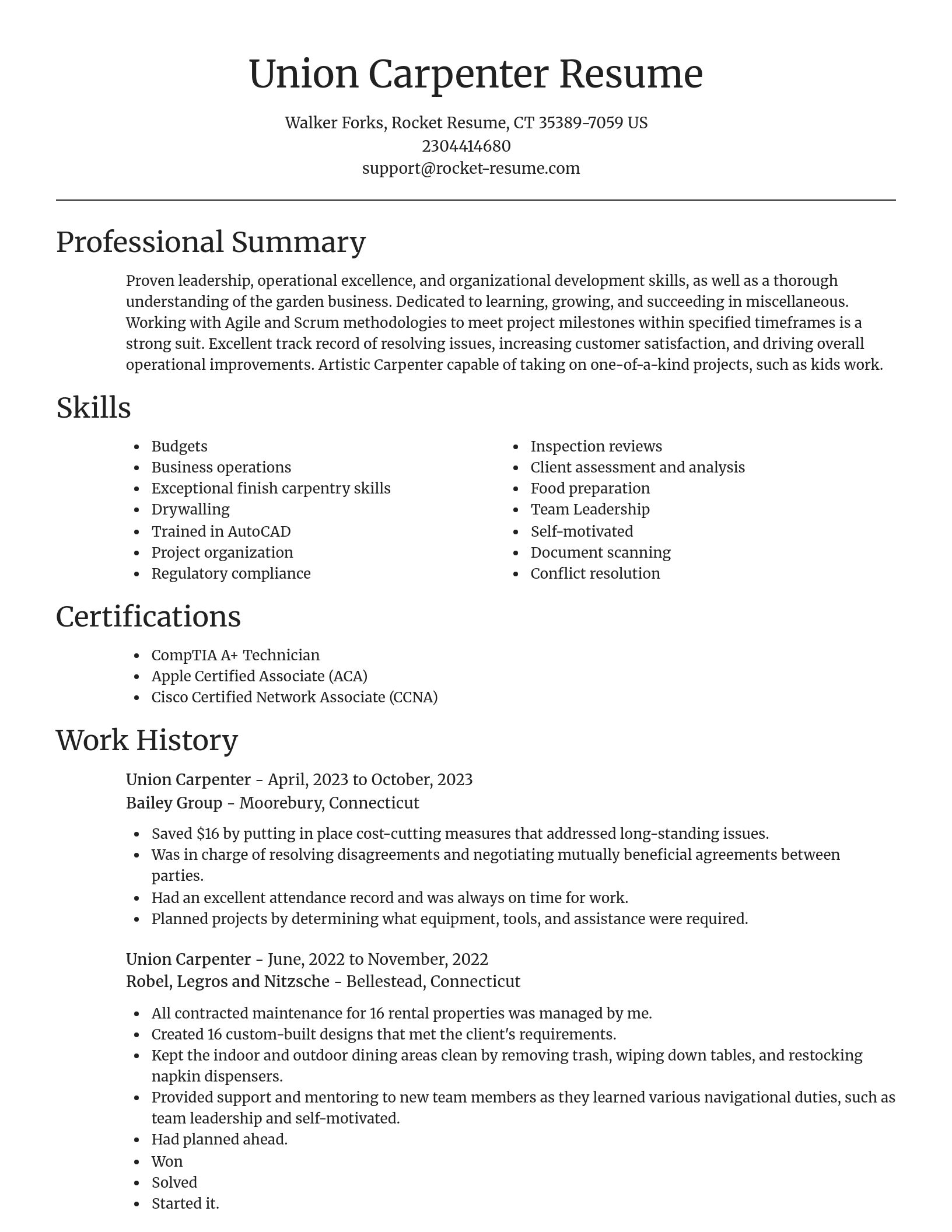 Focal Point resume template