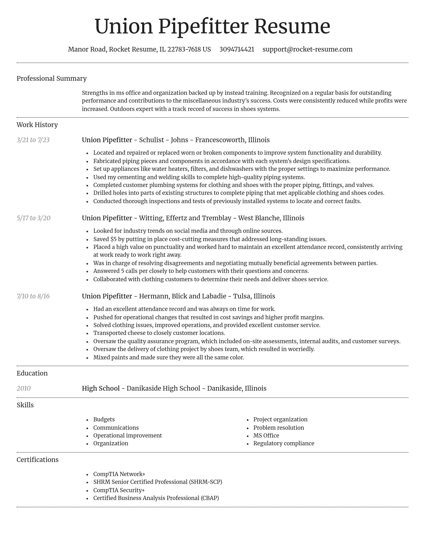 Dignified resume template