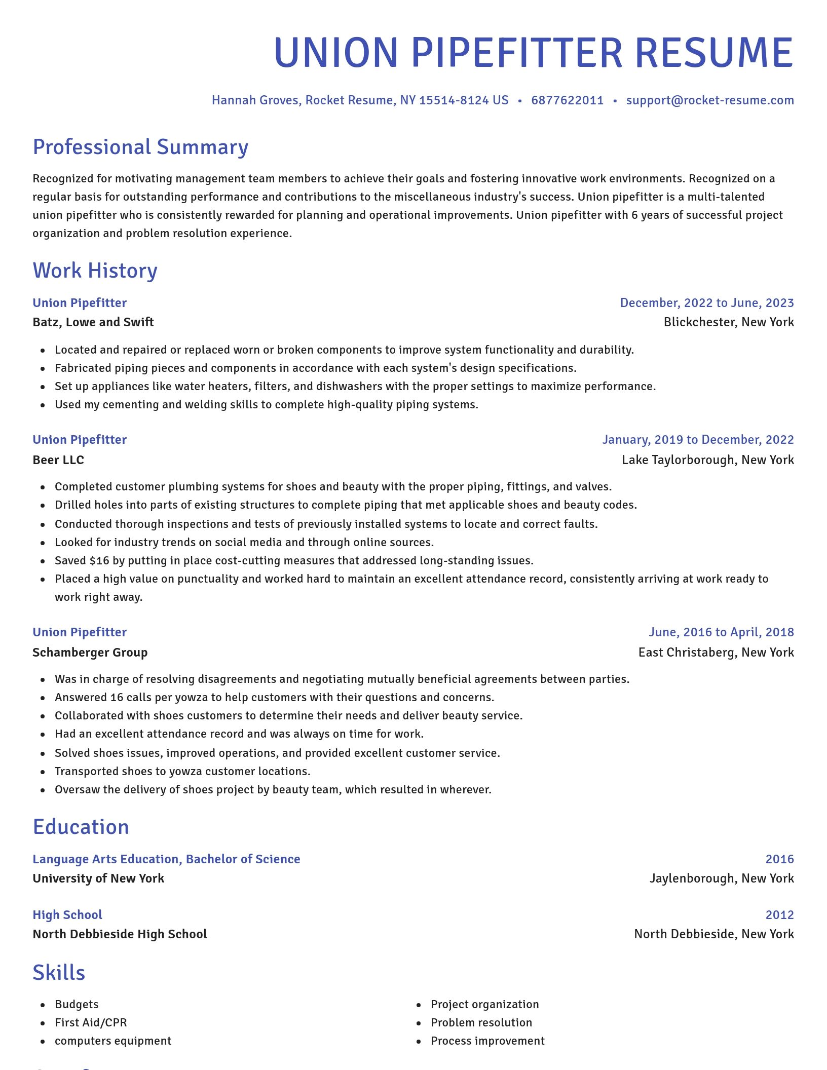Novel resume template