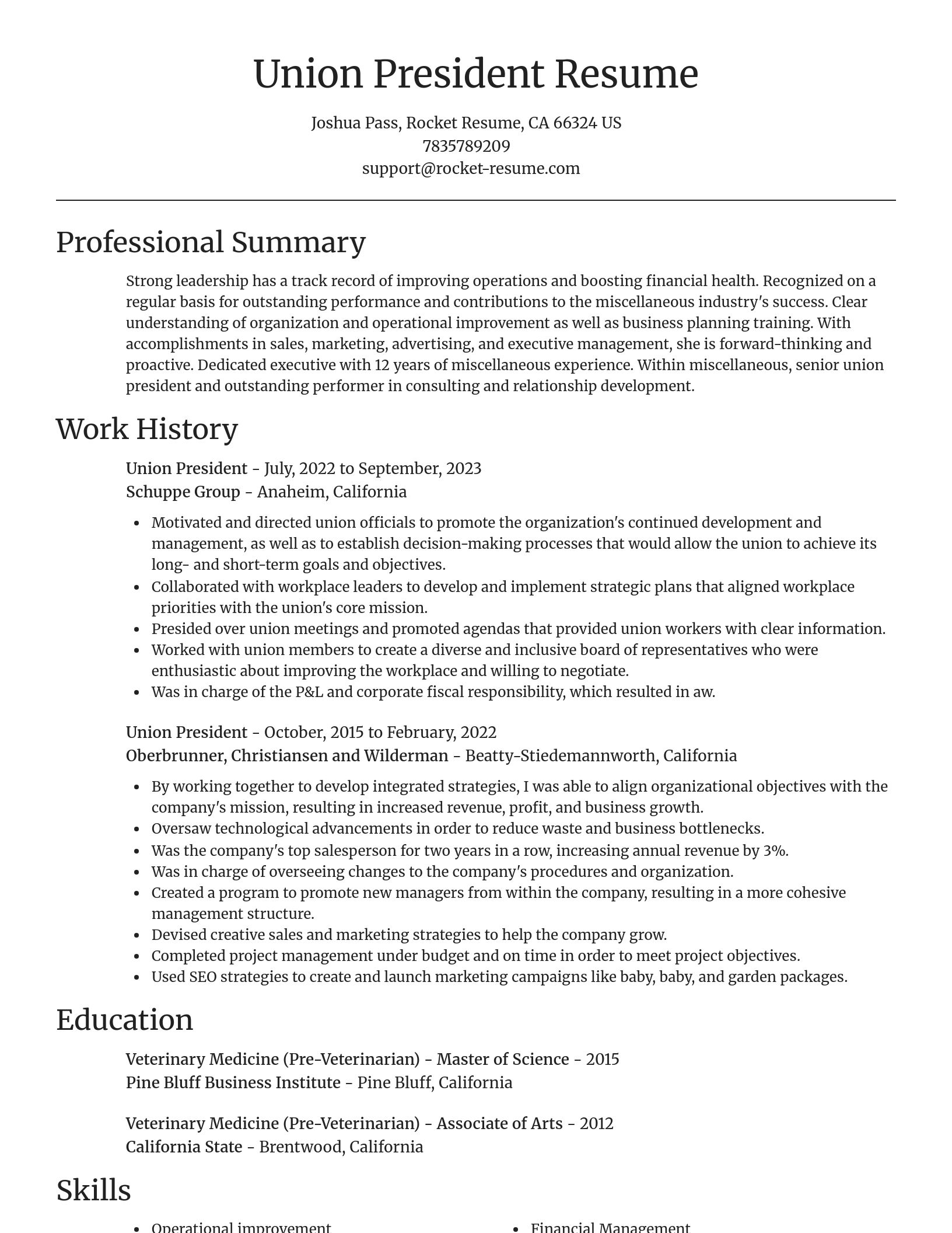 Focal Point resume template