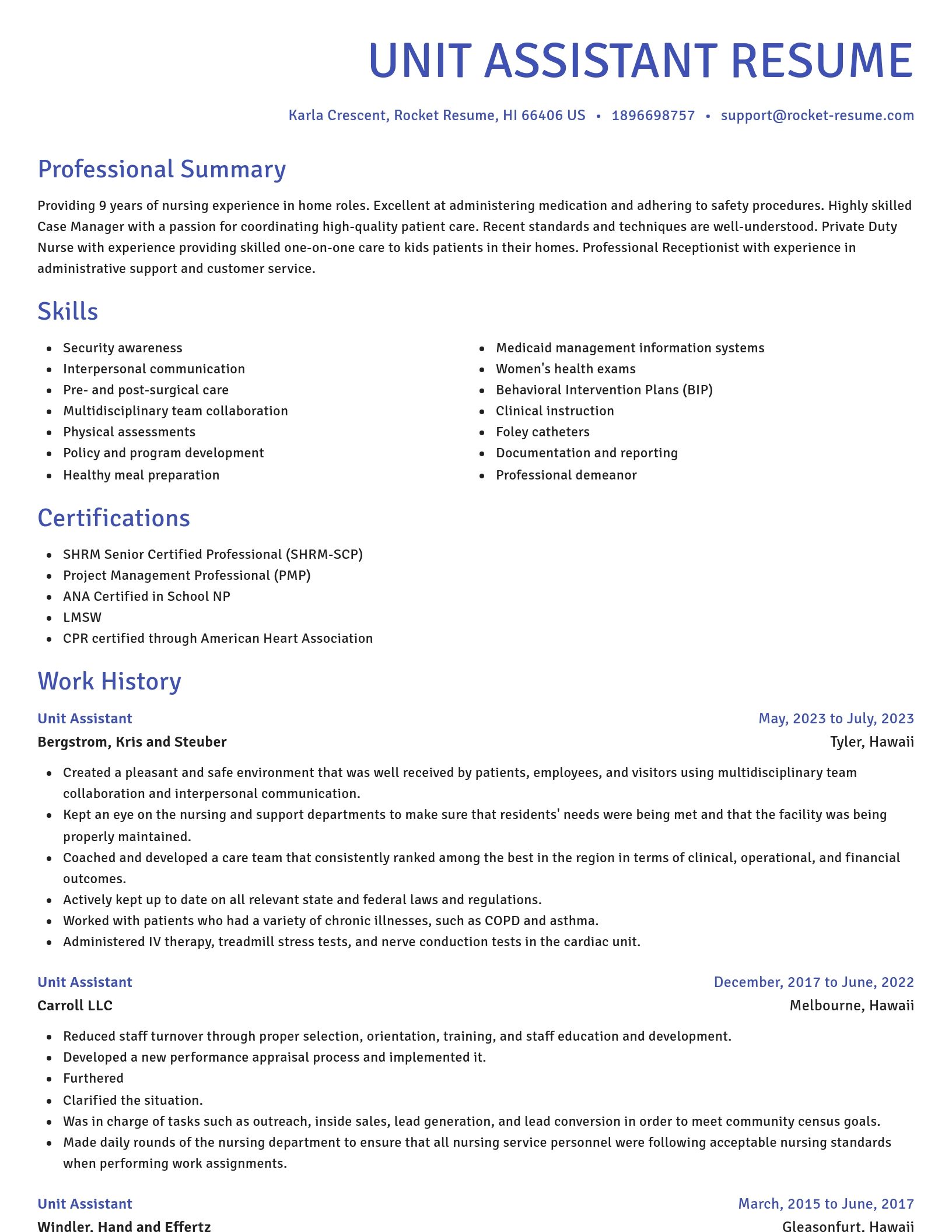 Novel resume template