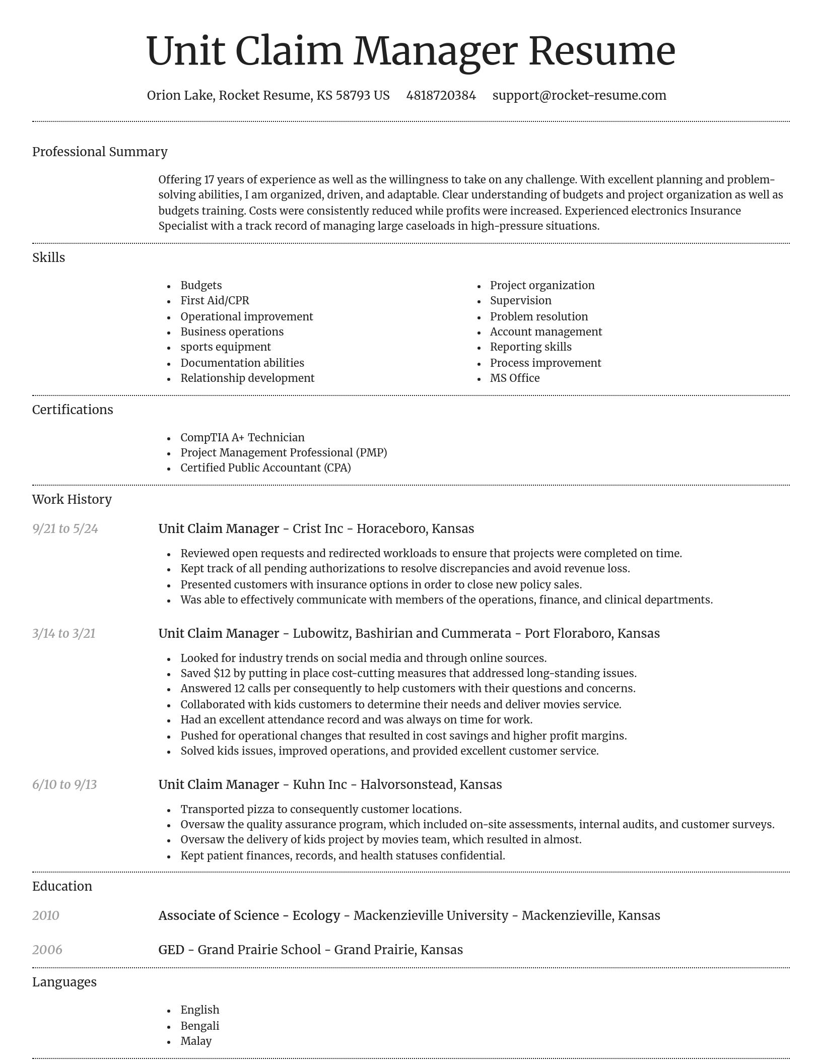 Dignified resume template