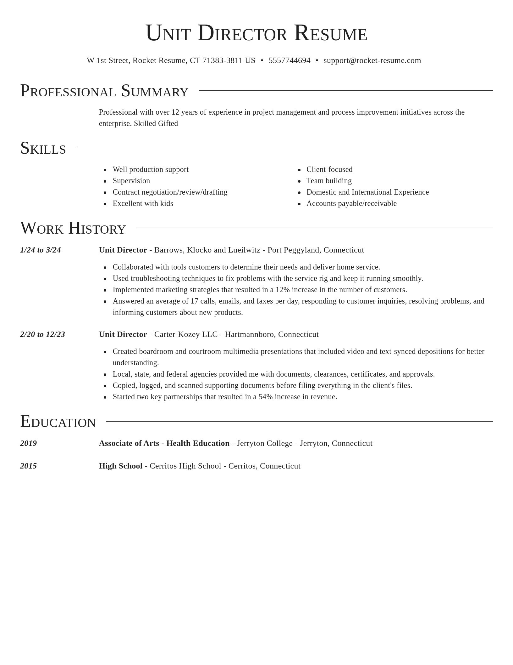 Director resume template