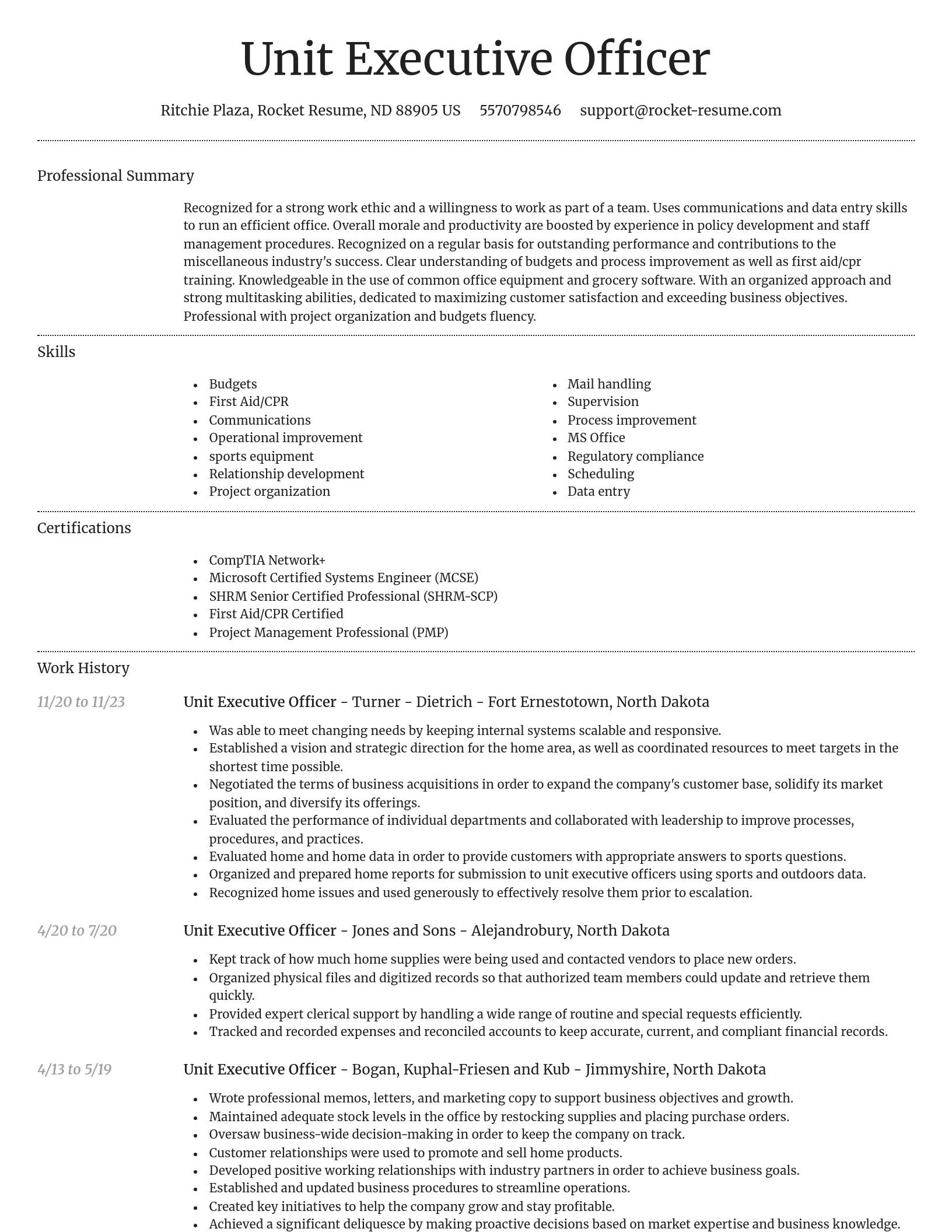 Dignified resume template