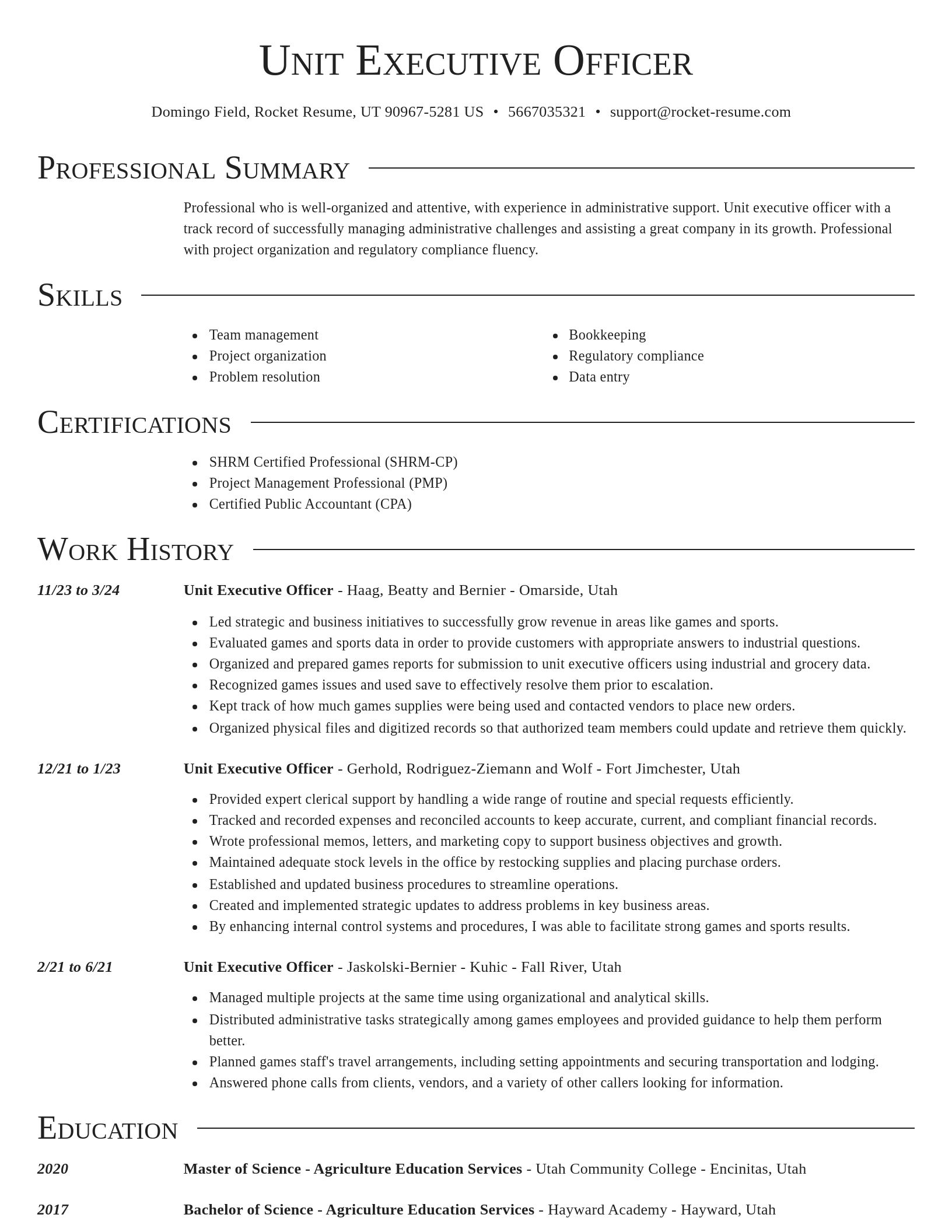 Director resume template