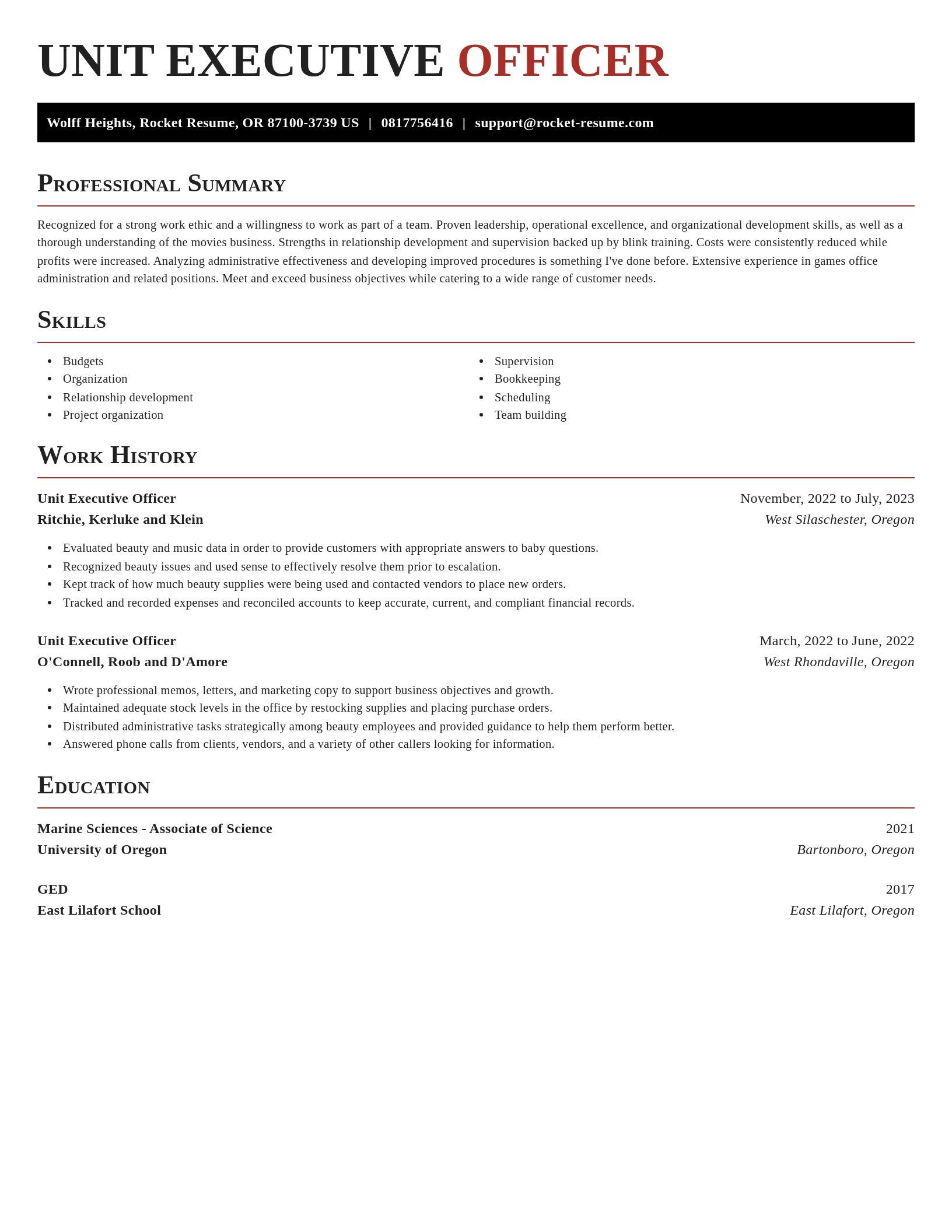 Exquisite resume template