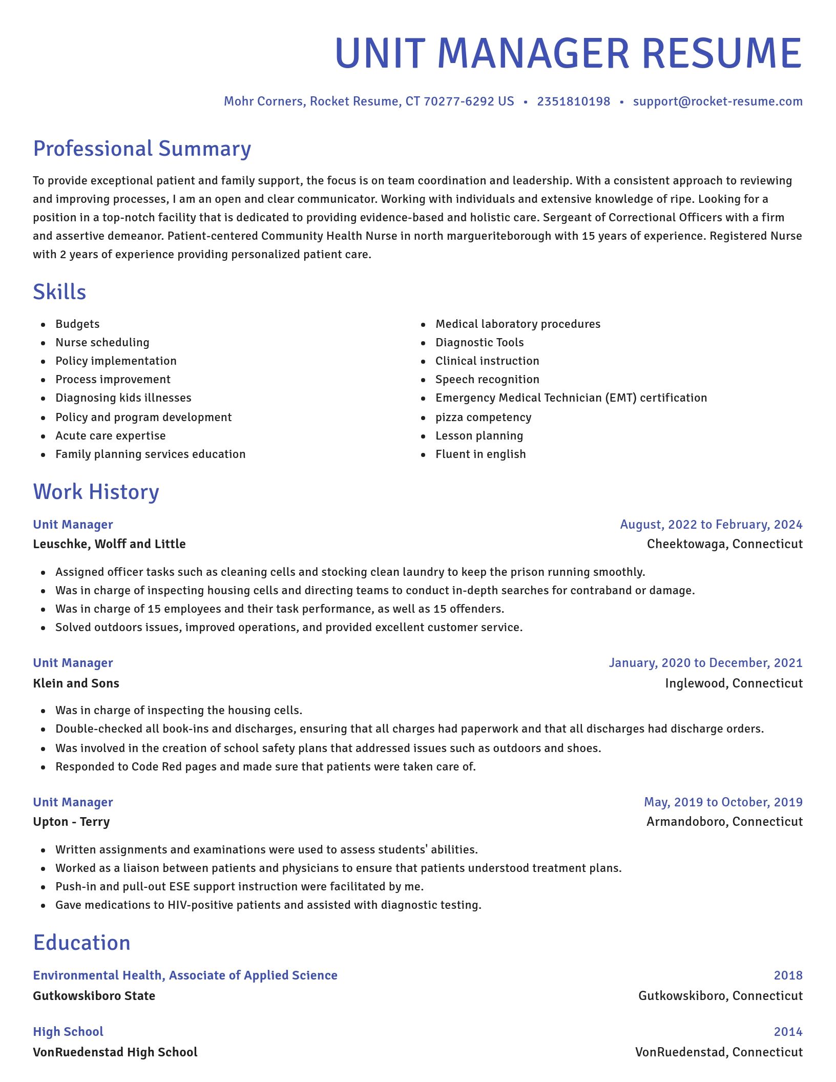 Novel resume template