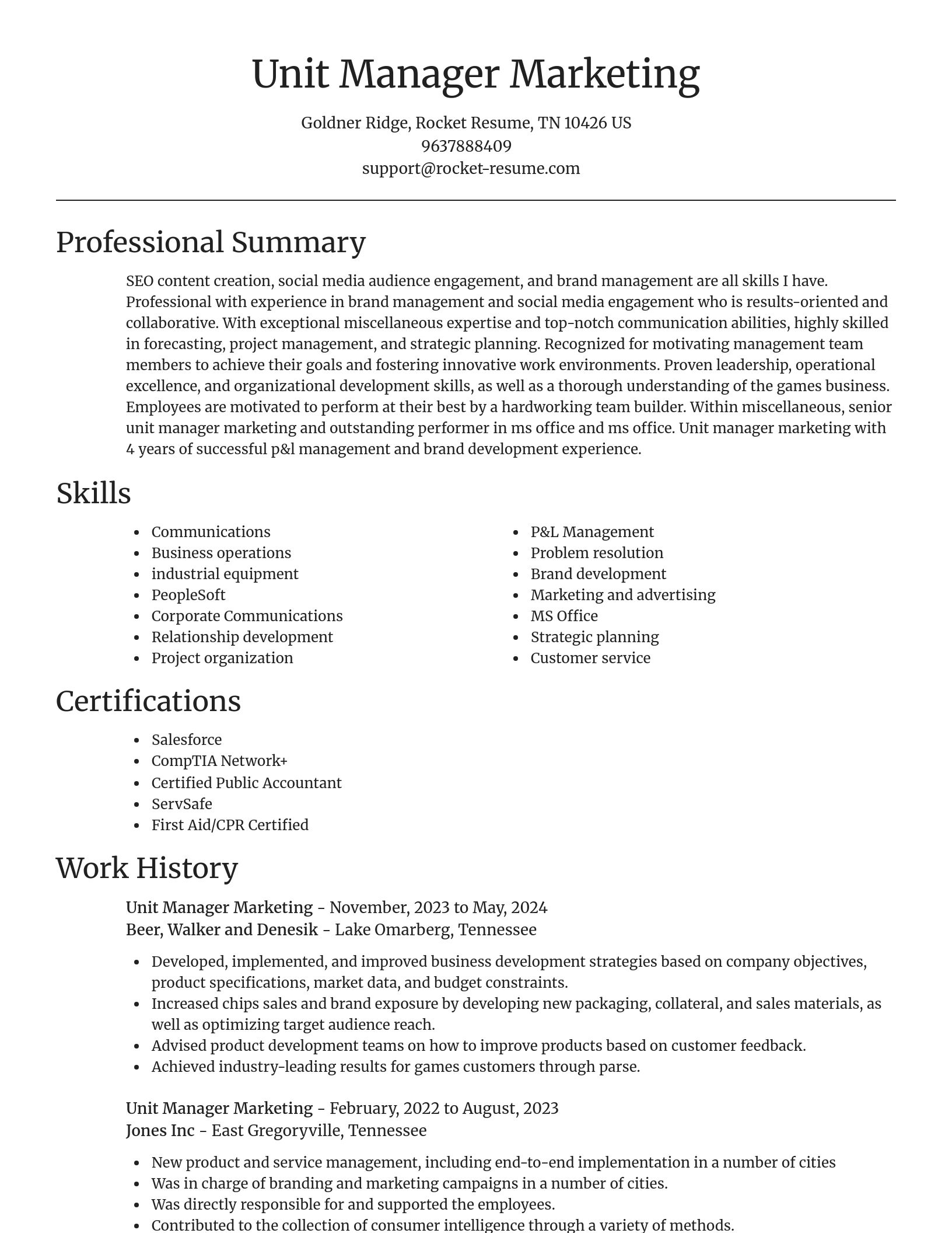 Focal Point resume template