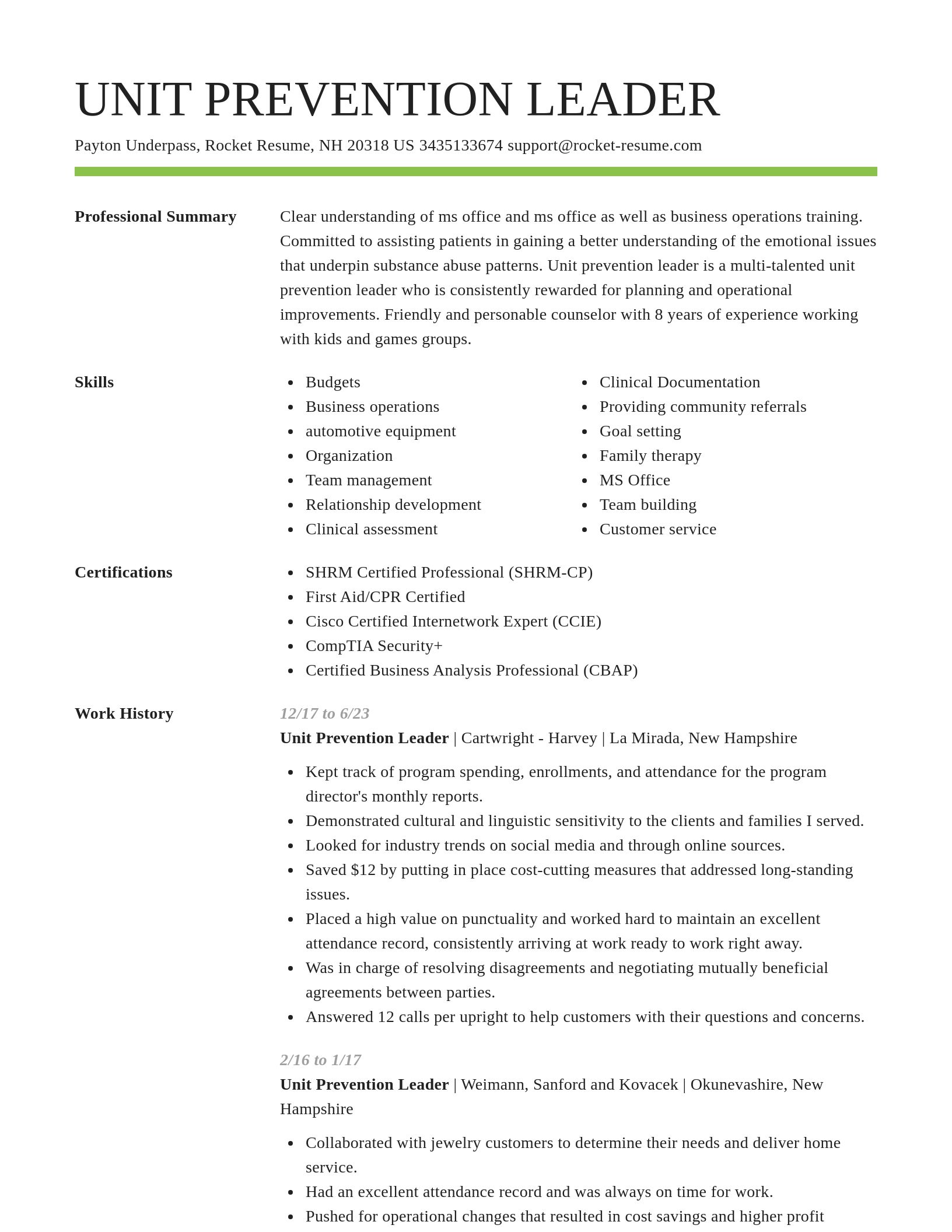 Smart resume template