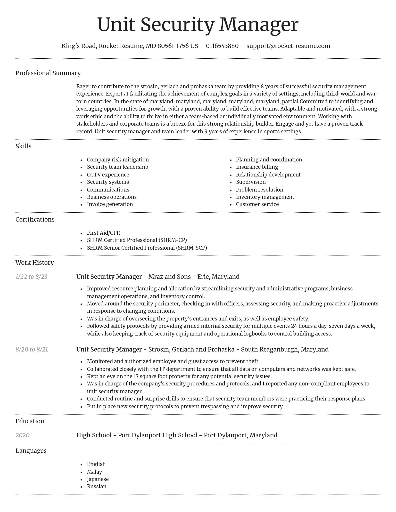 Dignified resume template