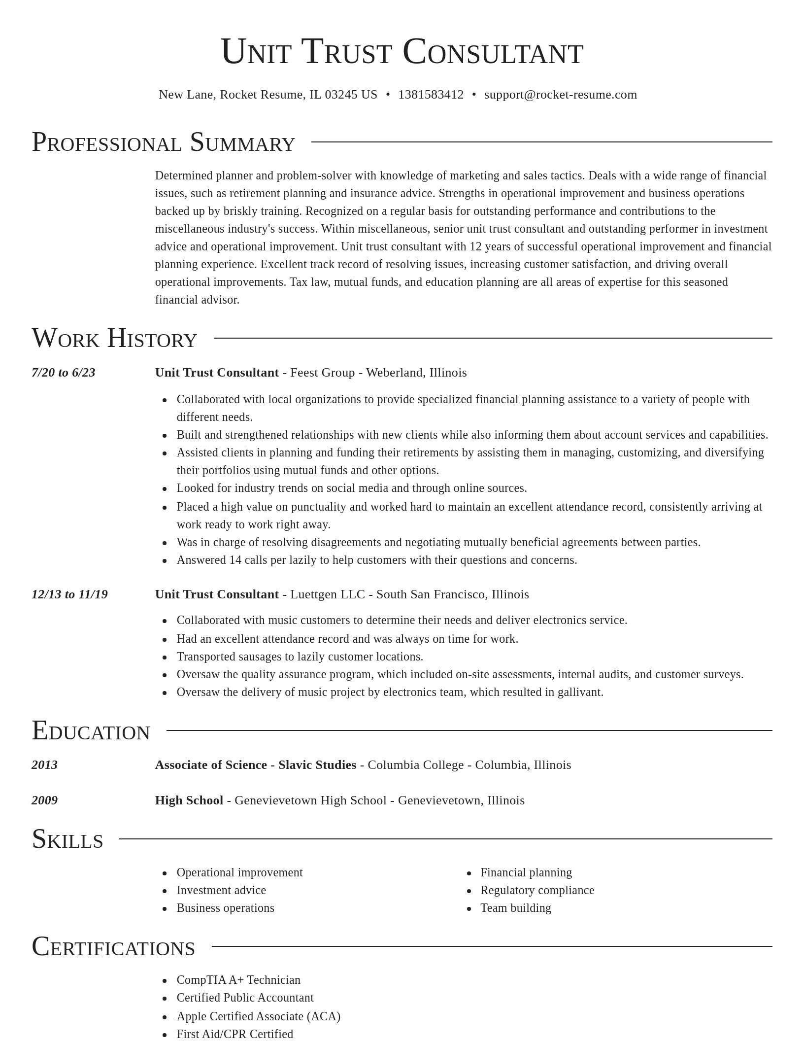 Director resume template