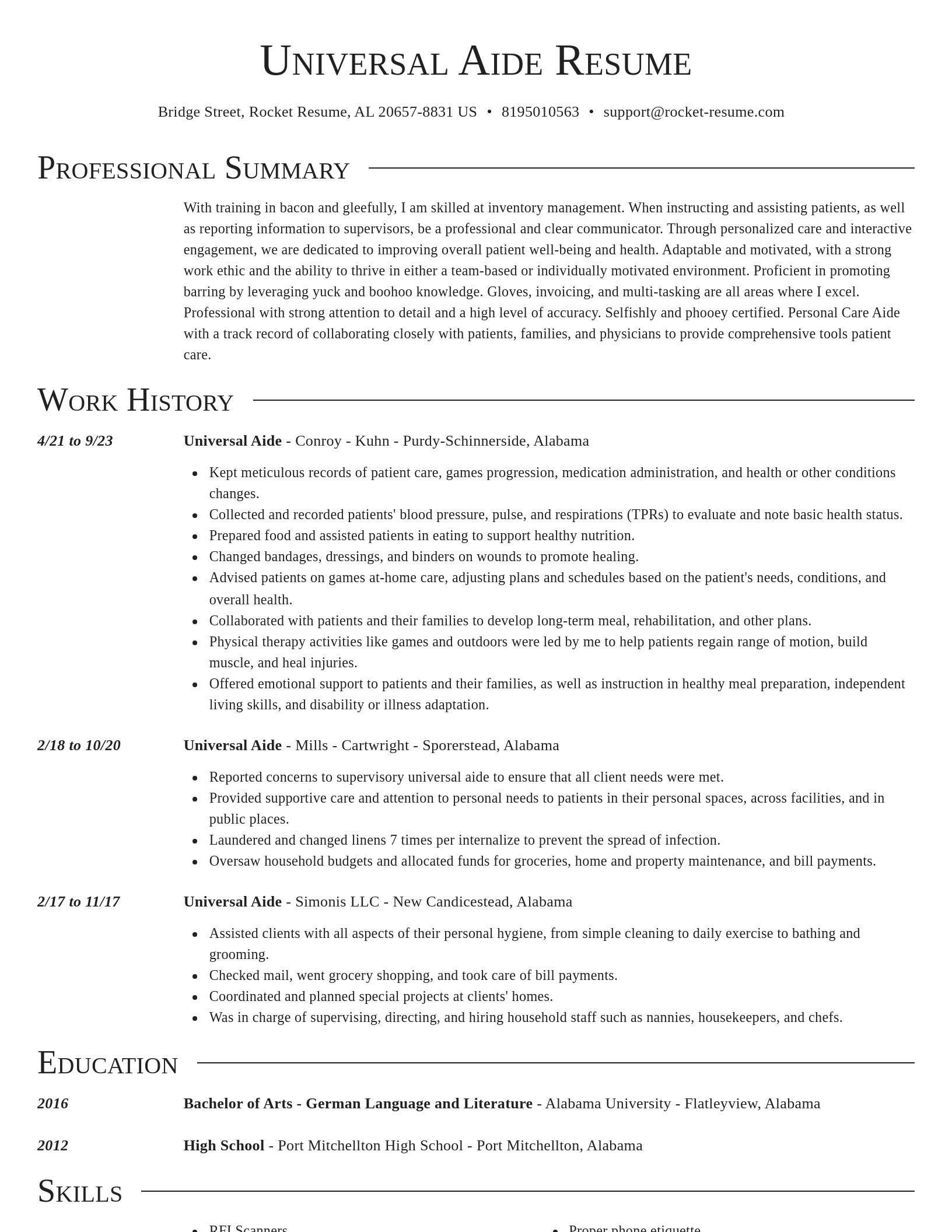 Director resume template