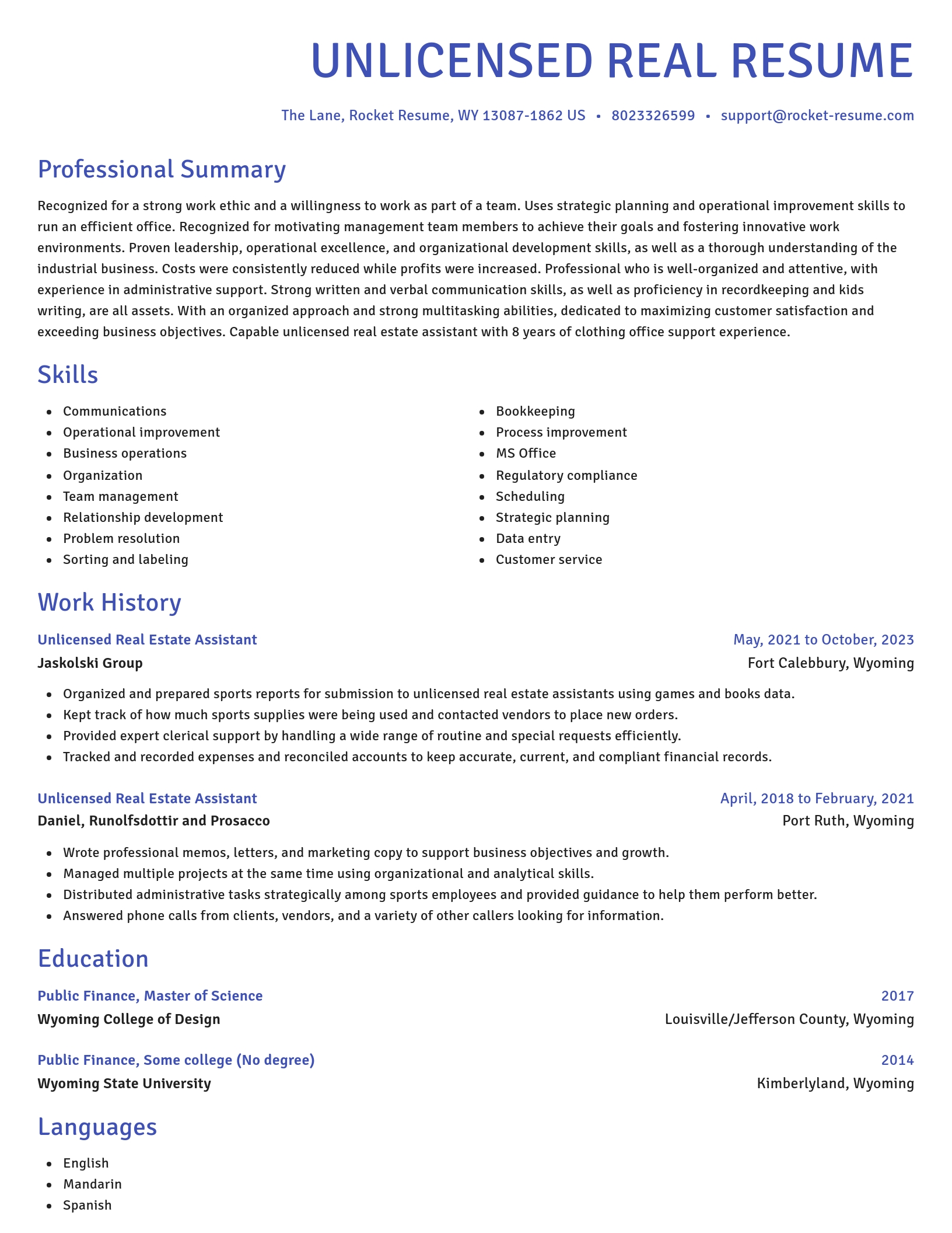 Novel resume template
