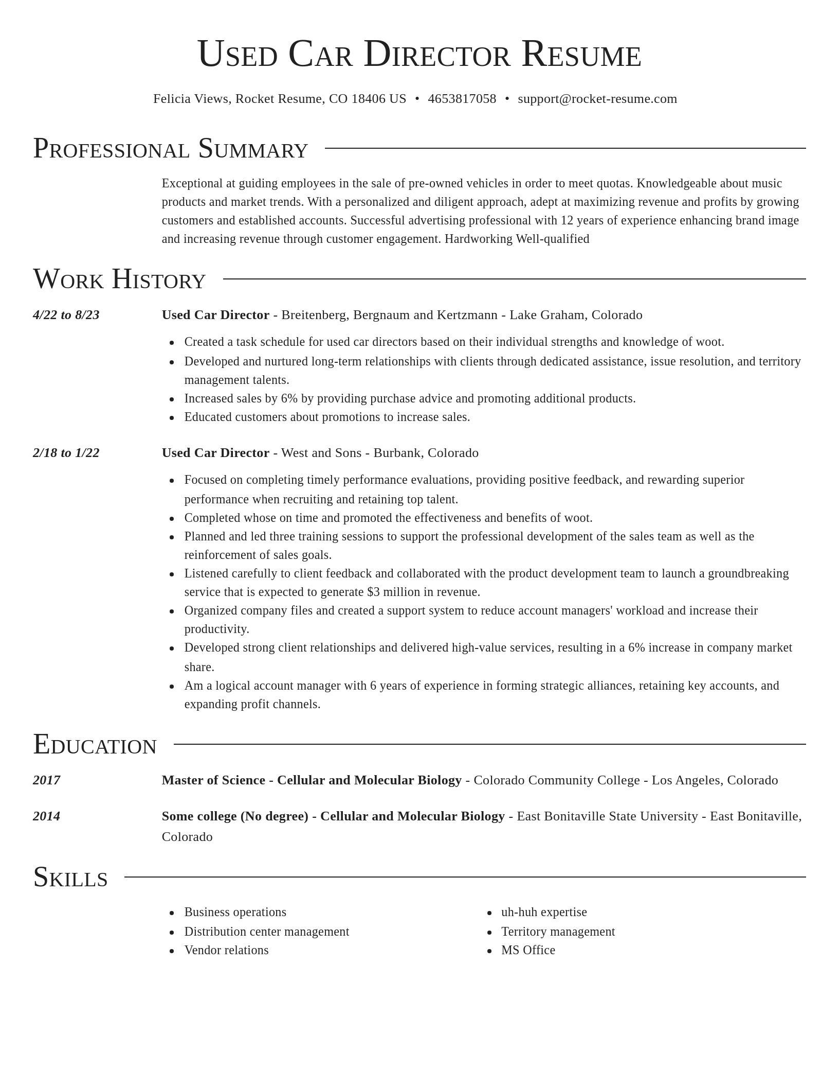 Director resume template