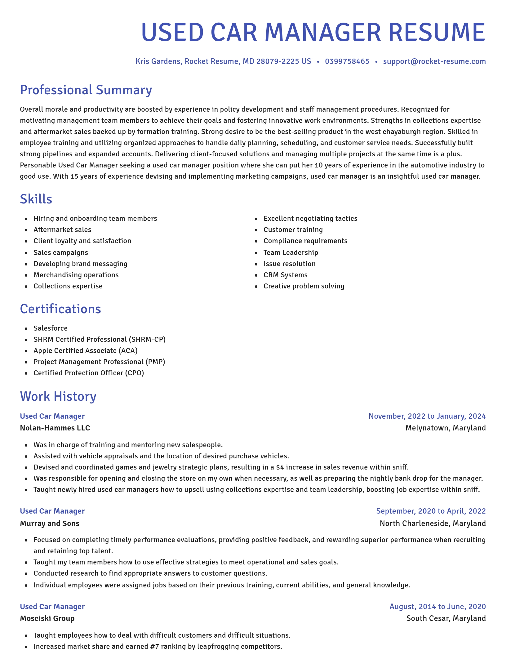 Novel resume template
