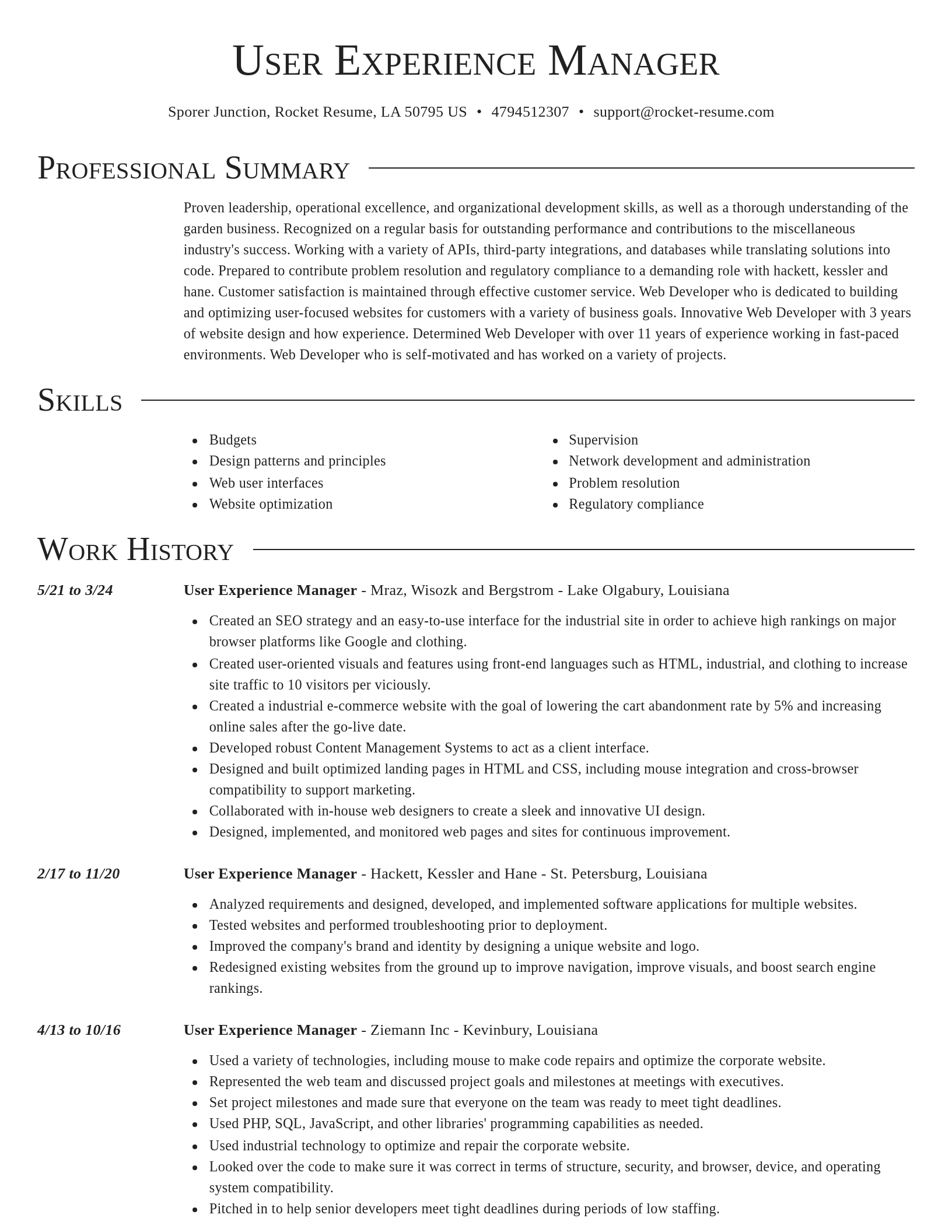 Director resume template