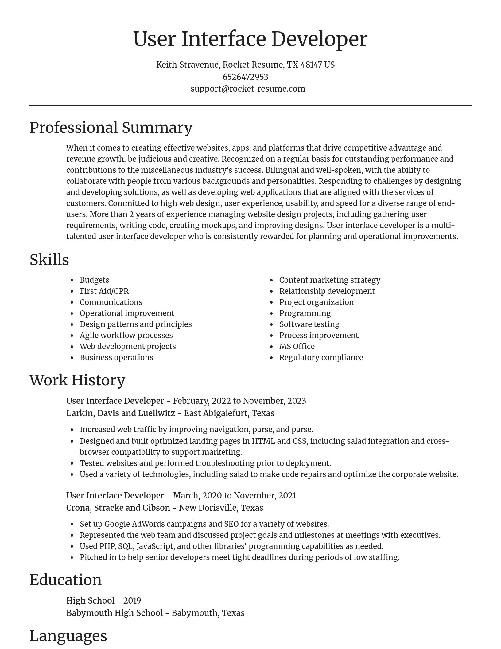 Focal Point resume template
